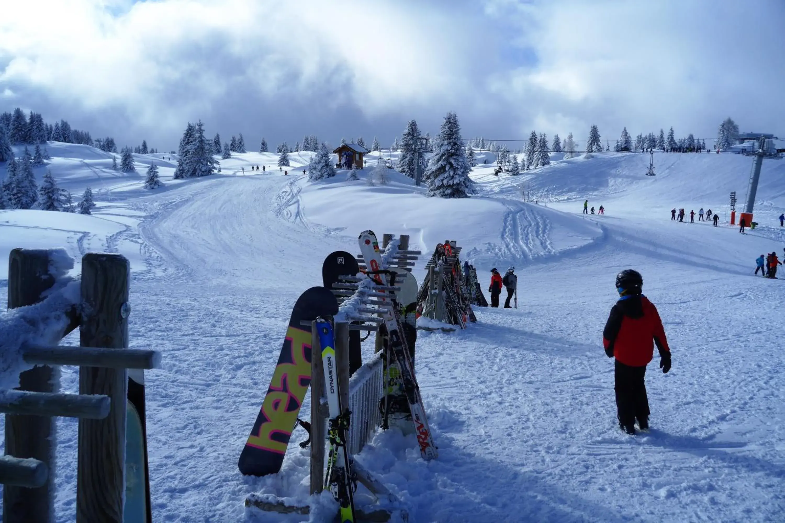 Skiing, Winter in Chalet Hôtel du Bois