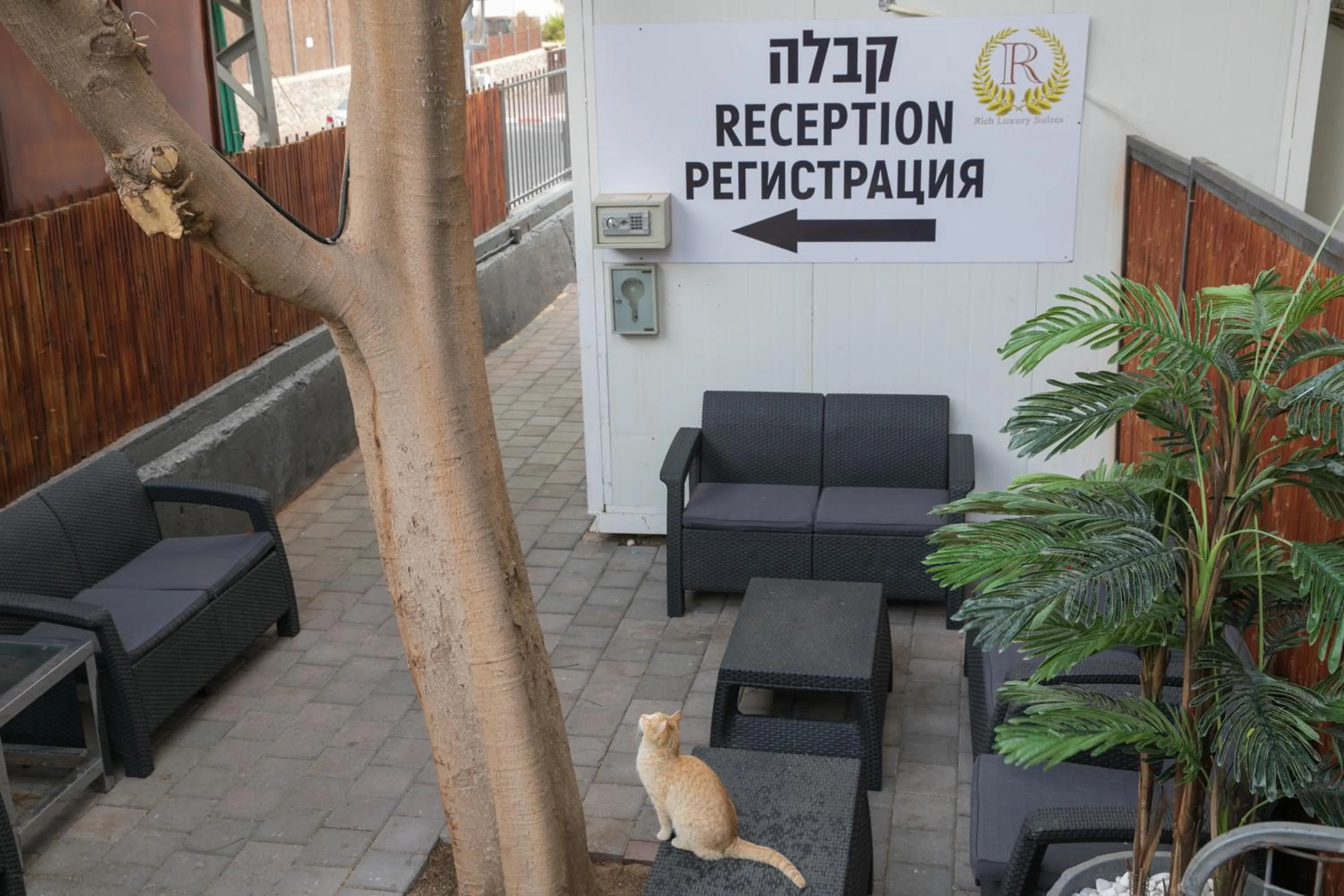 Lobby or reception in Rich apartments renovated & with modern design