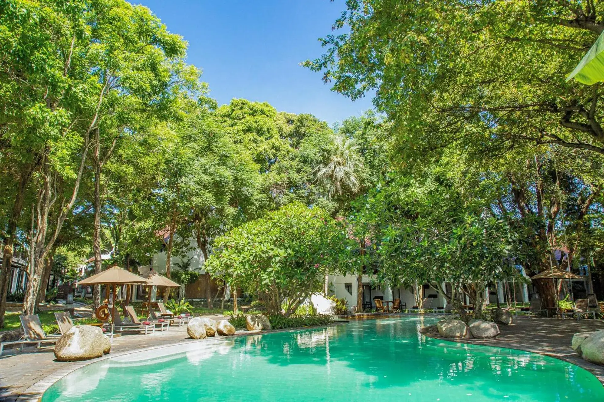 Garden, Swimming Pool in Woodlands Hotel and Resort Pattaya