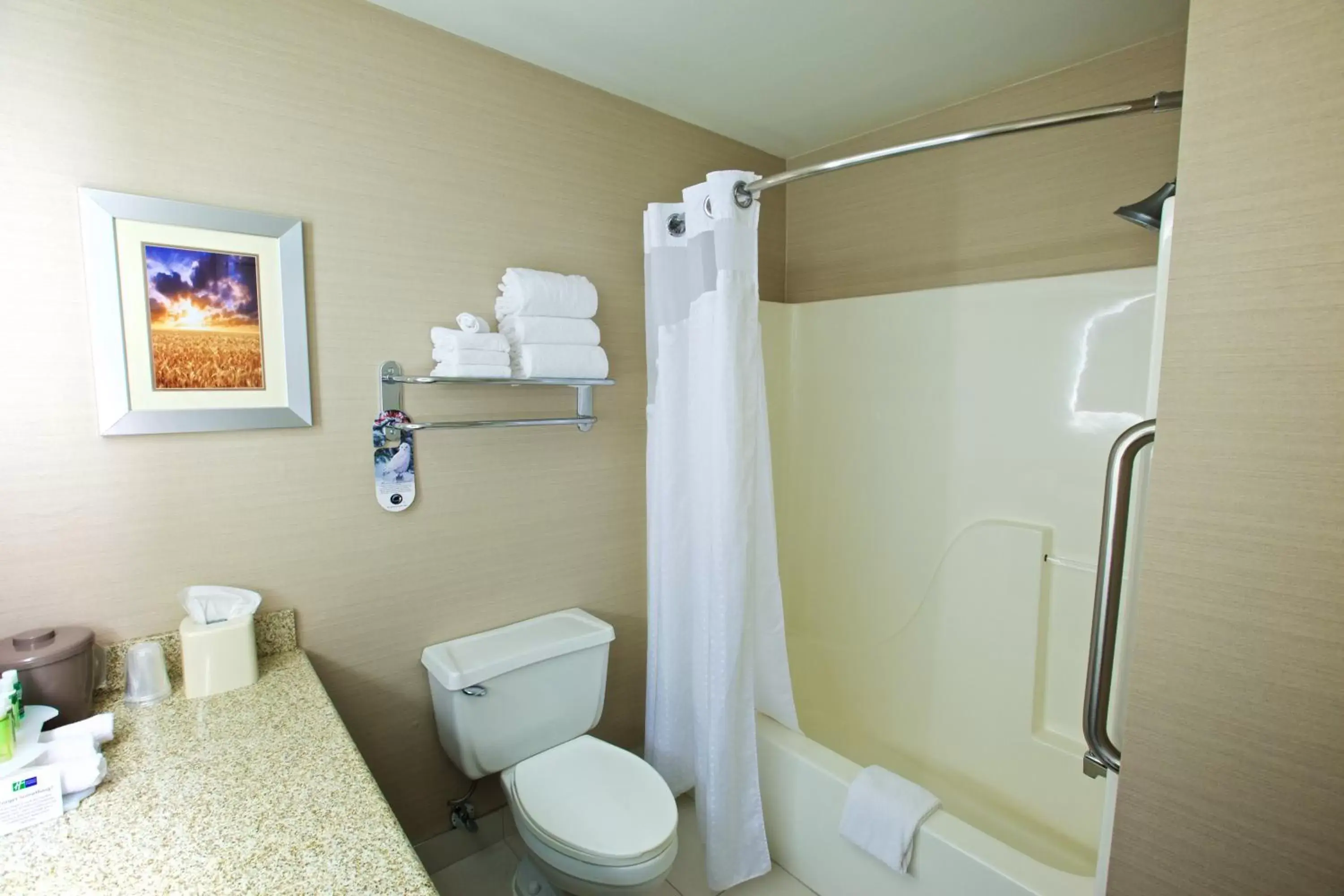 Bathroom in Holiday Inn Express Fargo - West Acres, an IHG Hotel