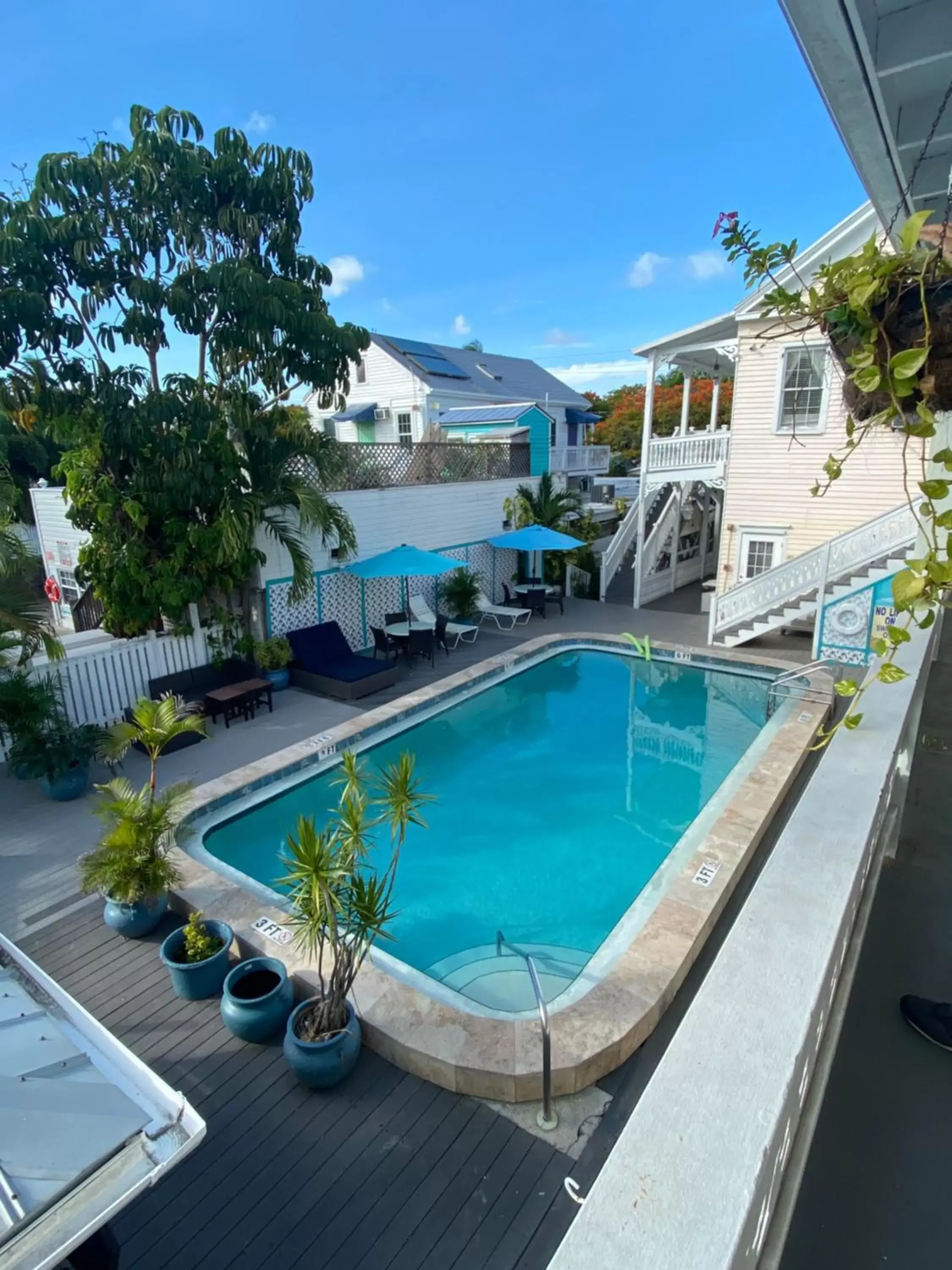 Swimming pool in The Palms Hotel