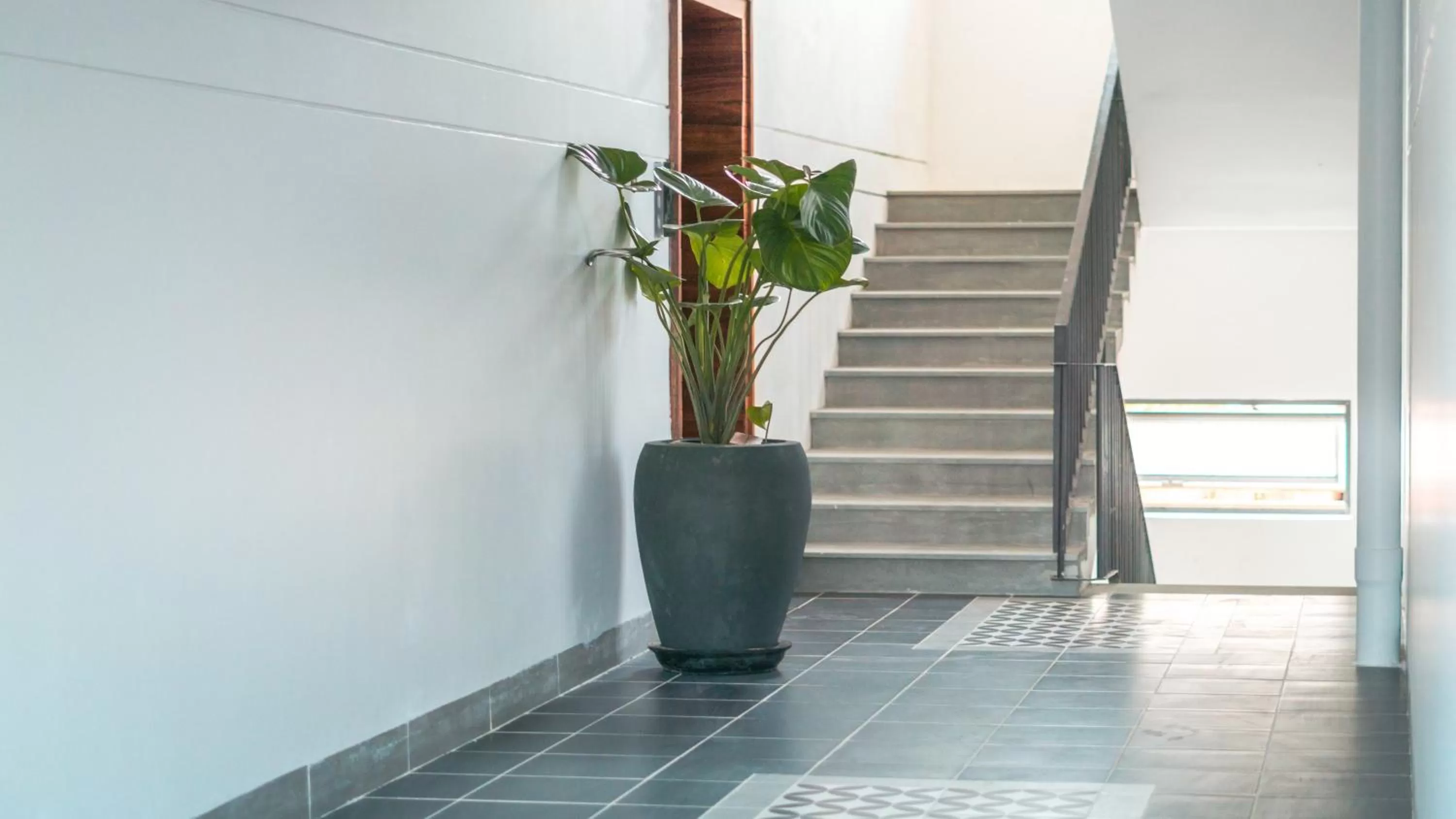 Other in Angkor Aurora