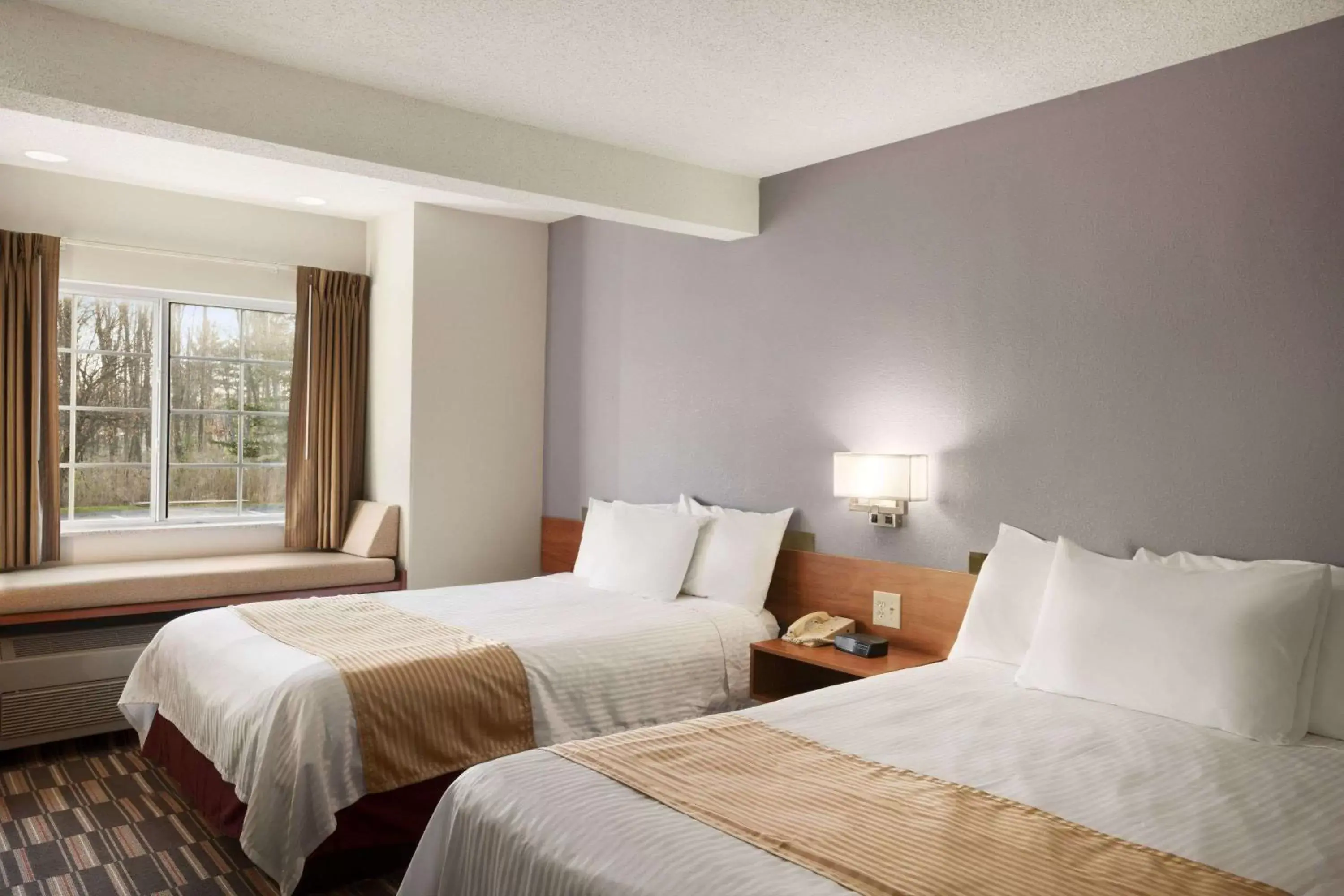 Photo of the whole room, Bed in Microtel Inn by Wyndham - Albany Airport