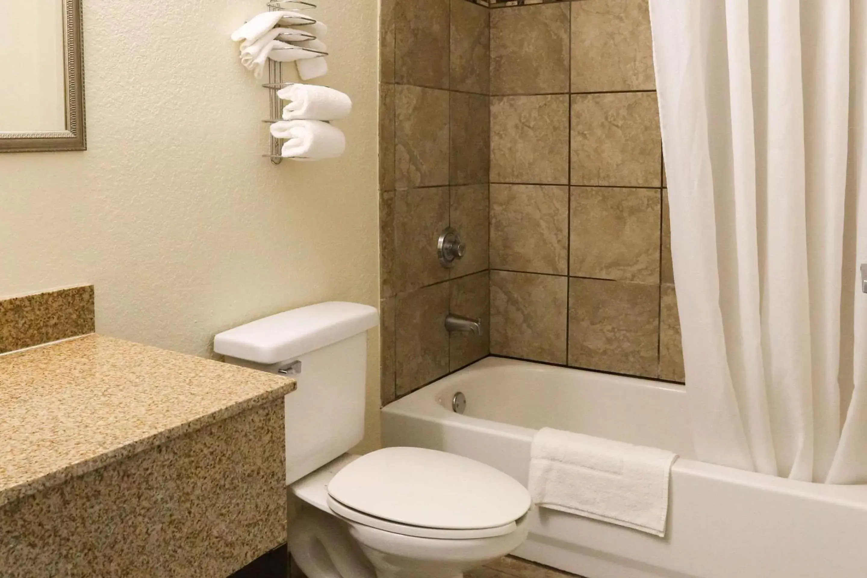Bathroom in Econo Lodge Inn and Suites Greenville
