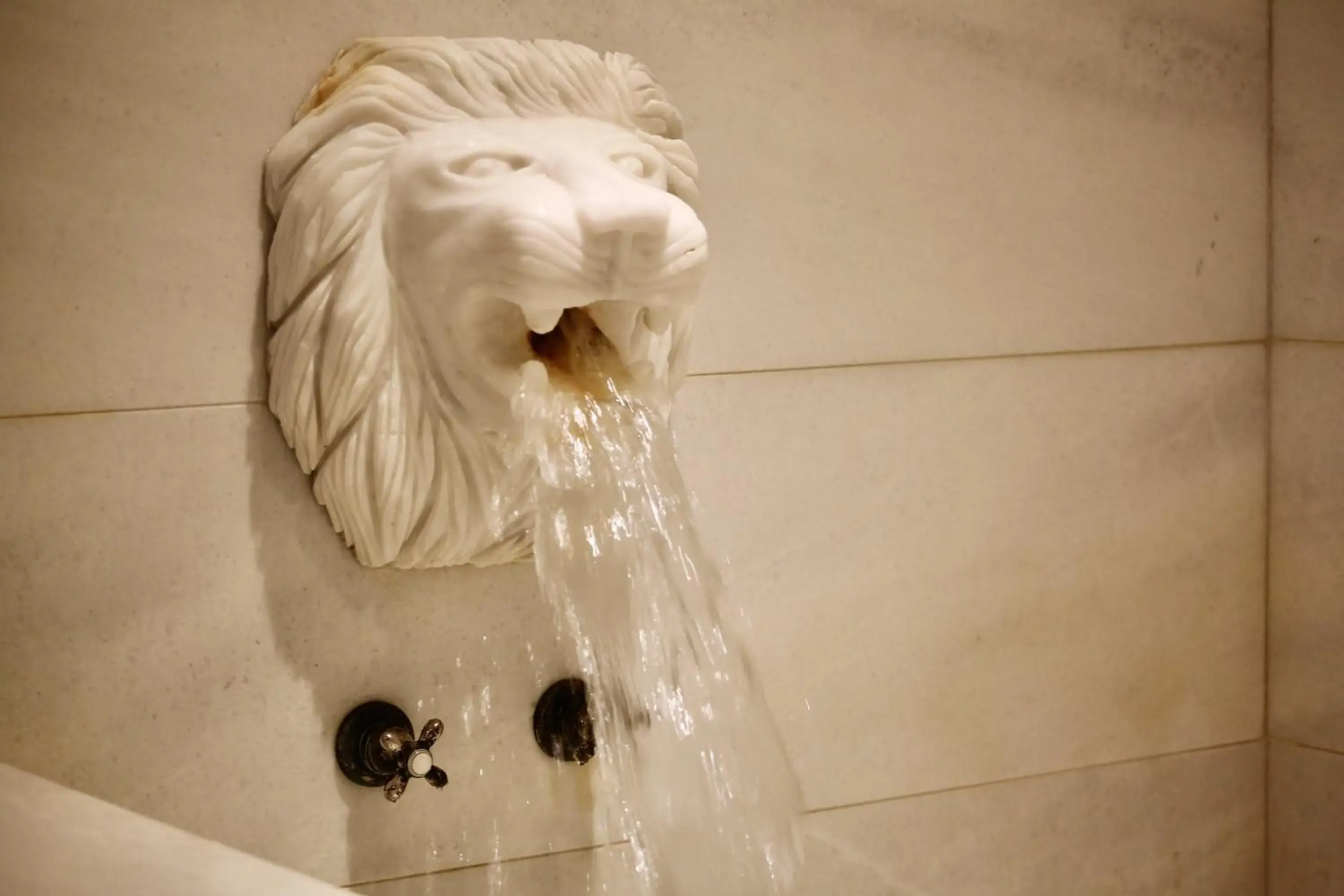 Public Bath, Bathroom in Marigold Thermal & Spa Hotel Bursa