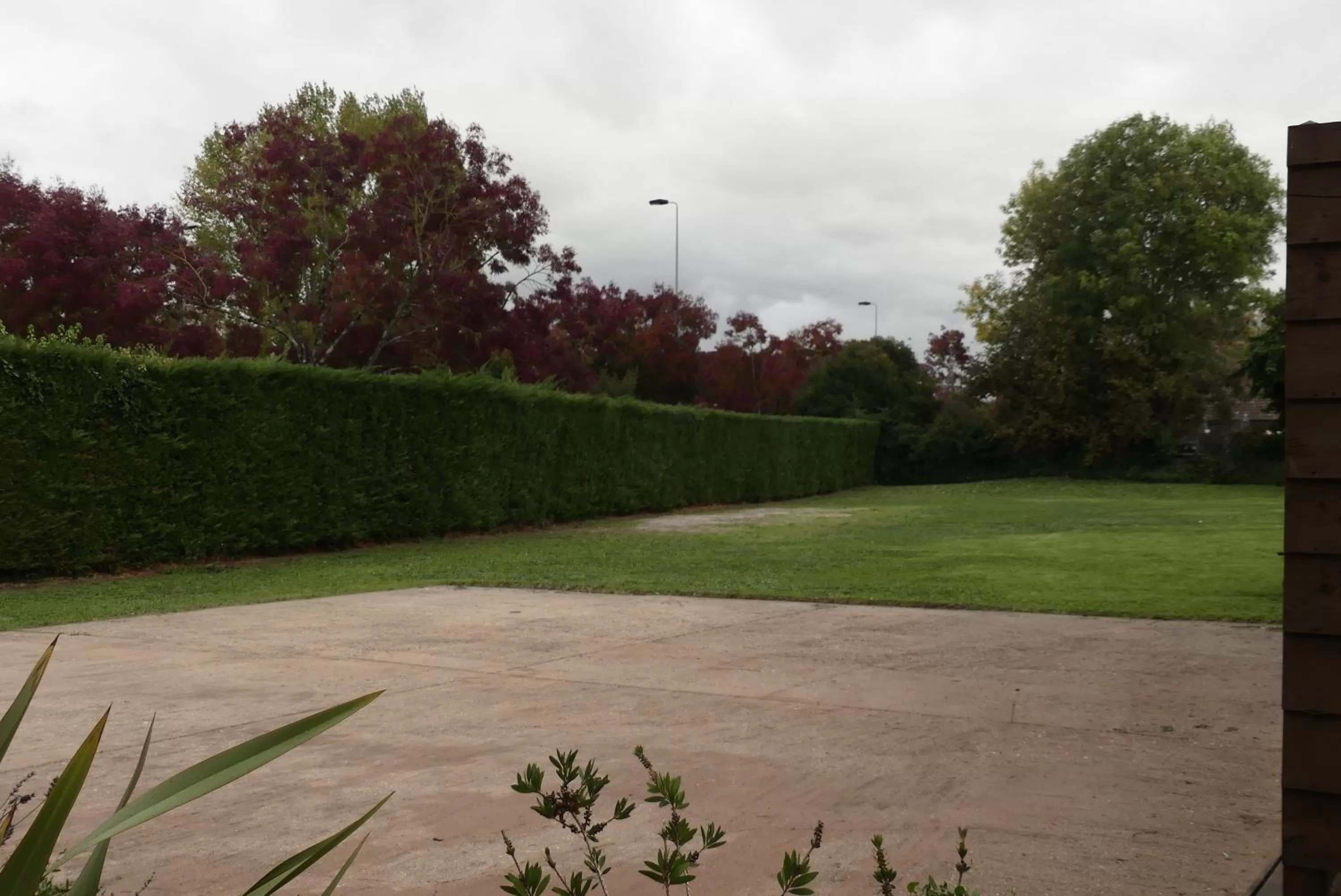 Garden in Contact Hôtel Le Provençal Bordeaux Lac