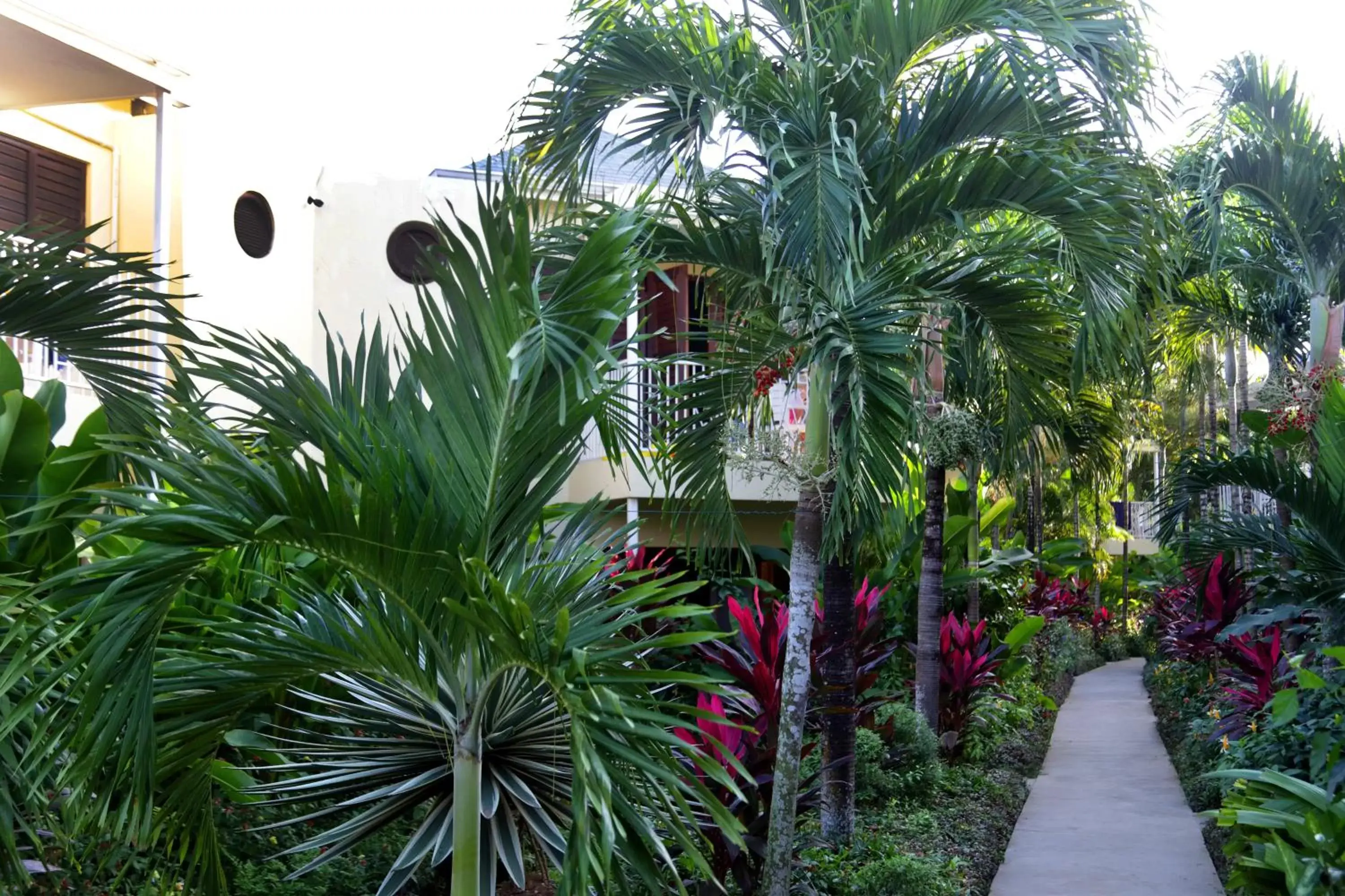 Garden, Property Building in Negril Palms