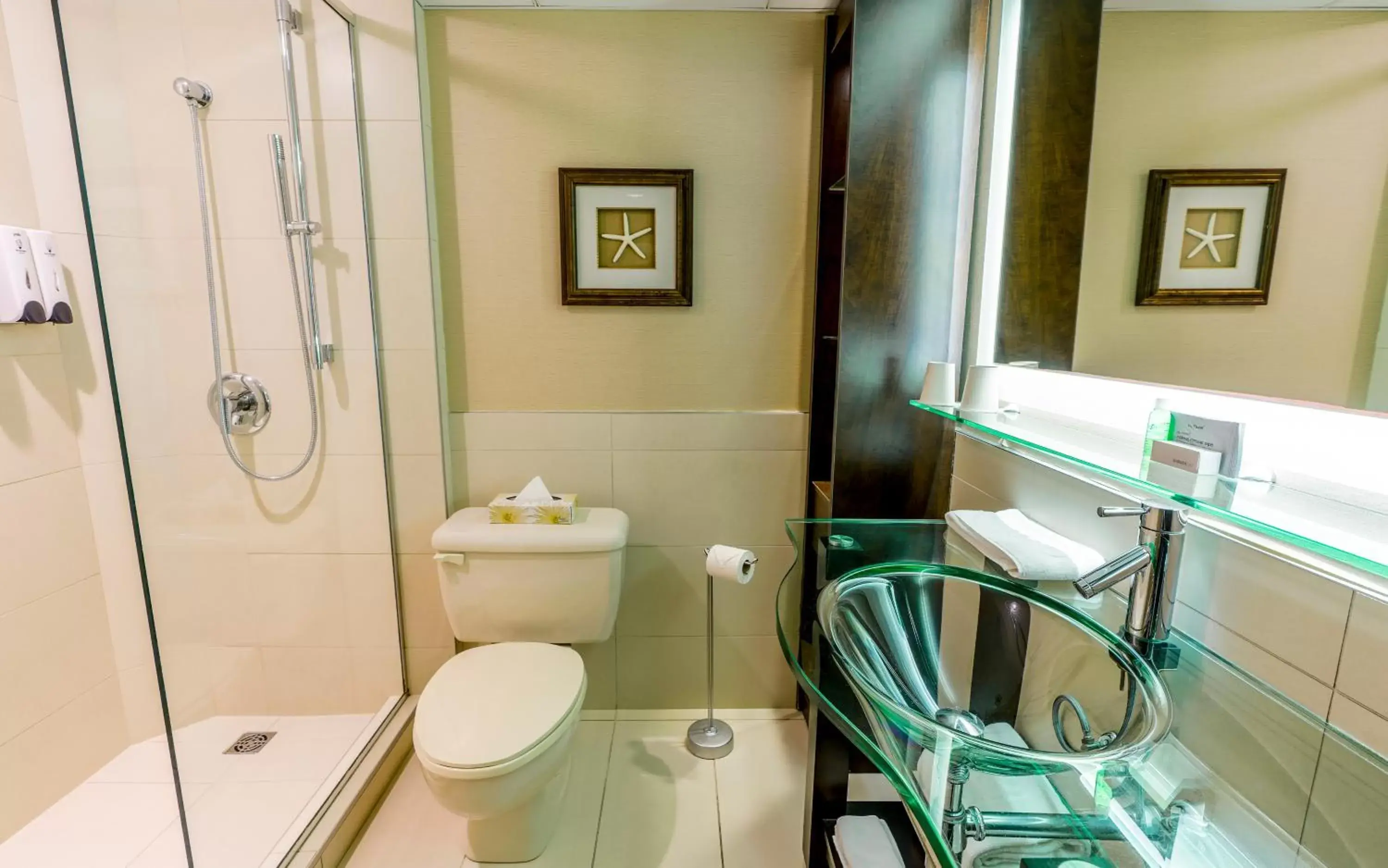 Shower, Bathroom in LHotelQuébec