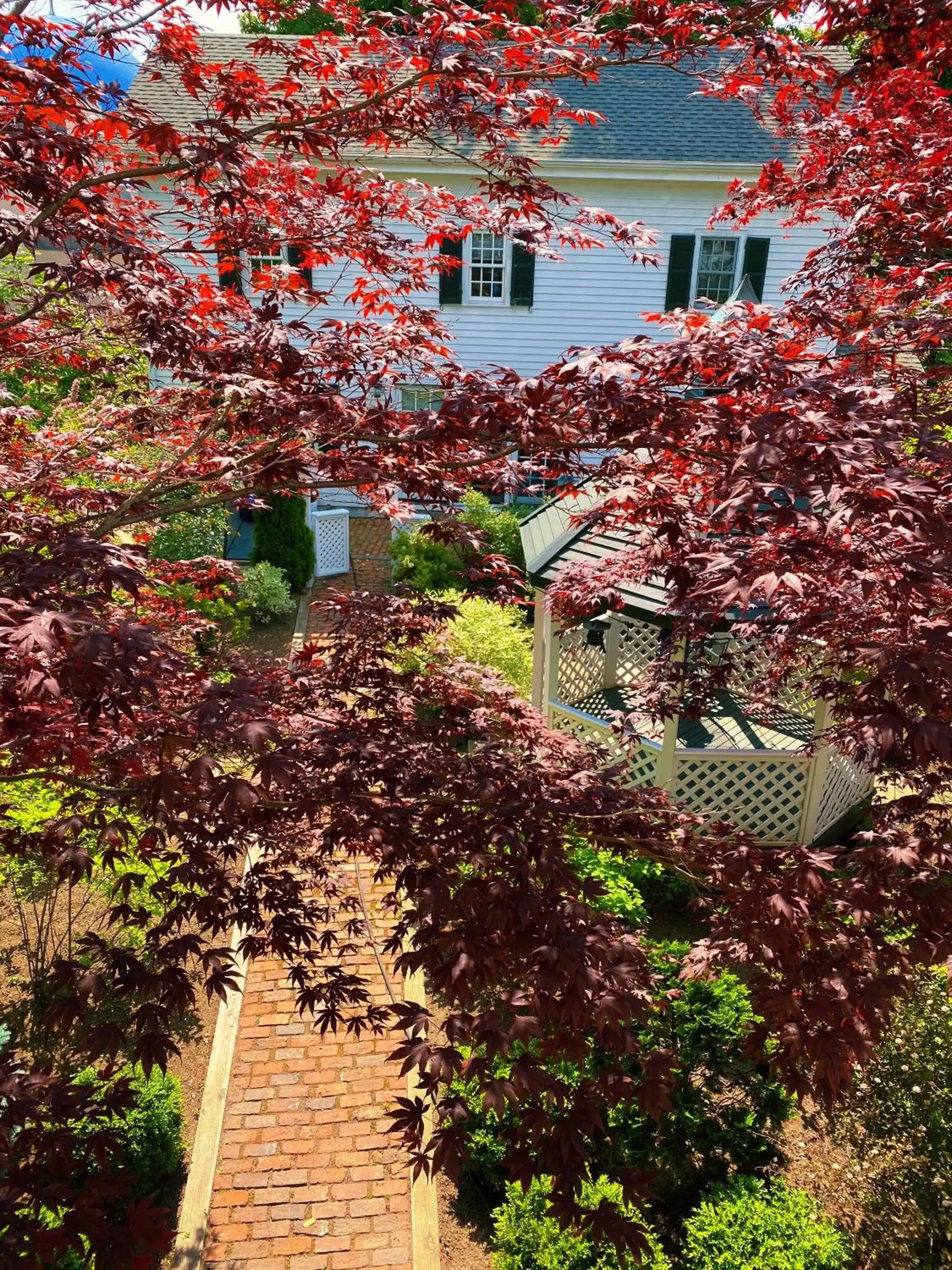 Garden view, Bird's-eye View in Clark Currier Inn