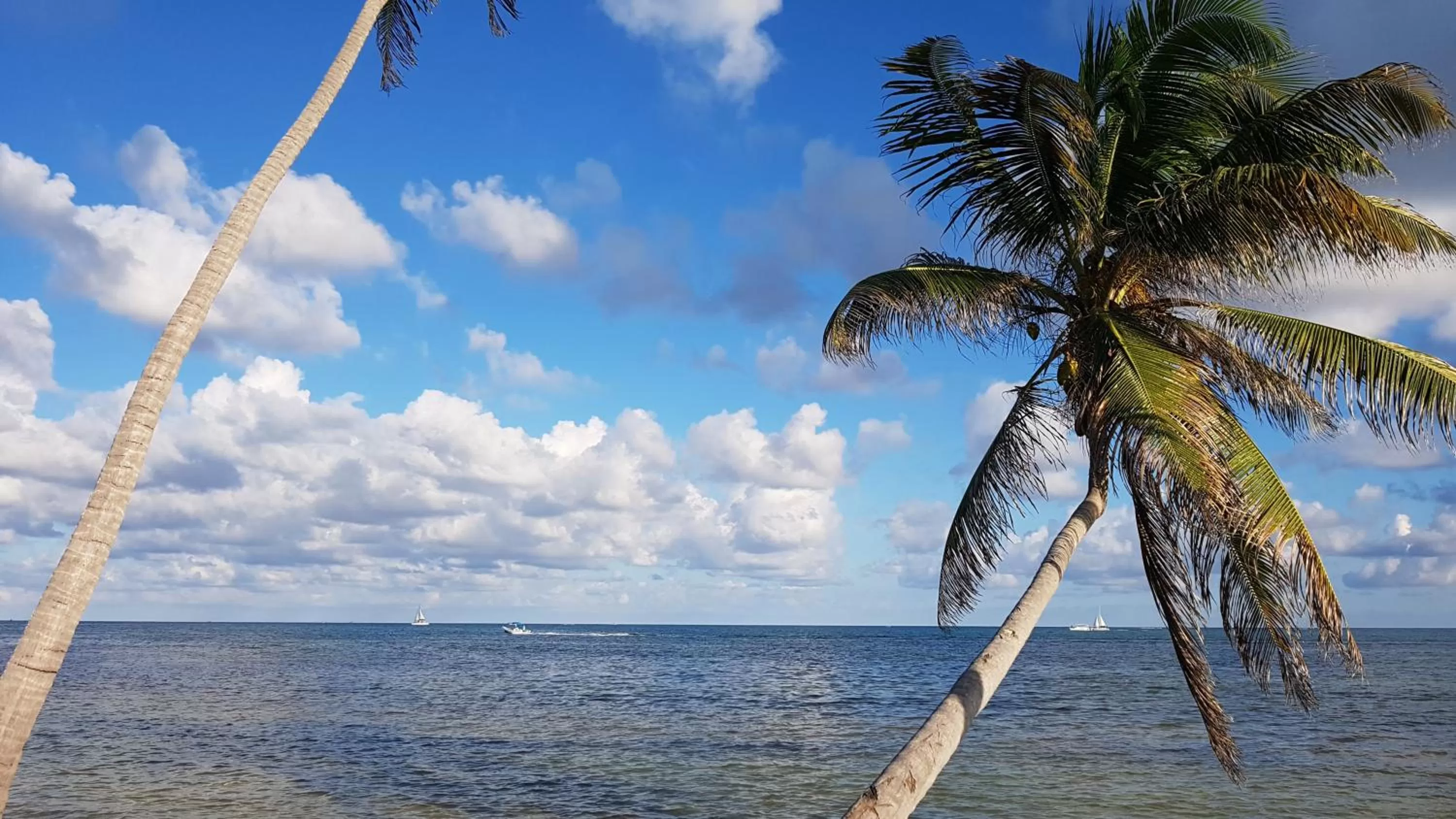 Natural landscape in Royal Caribbean Resort