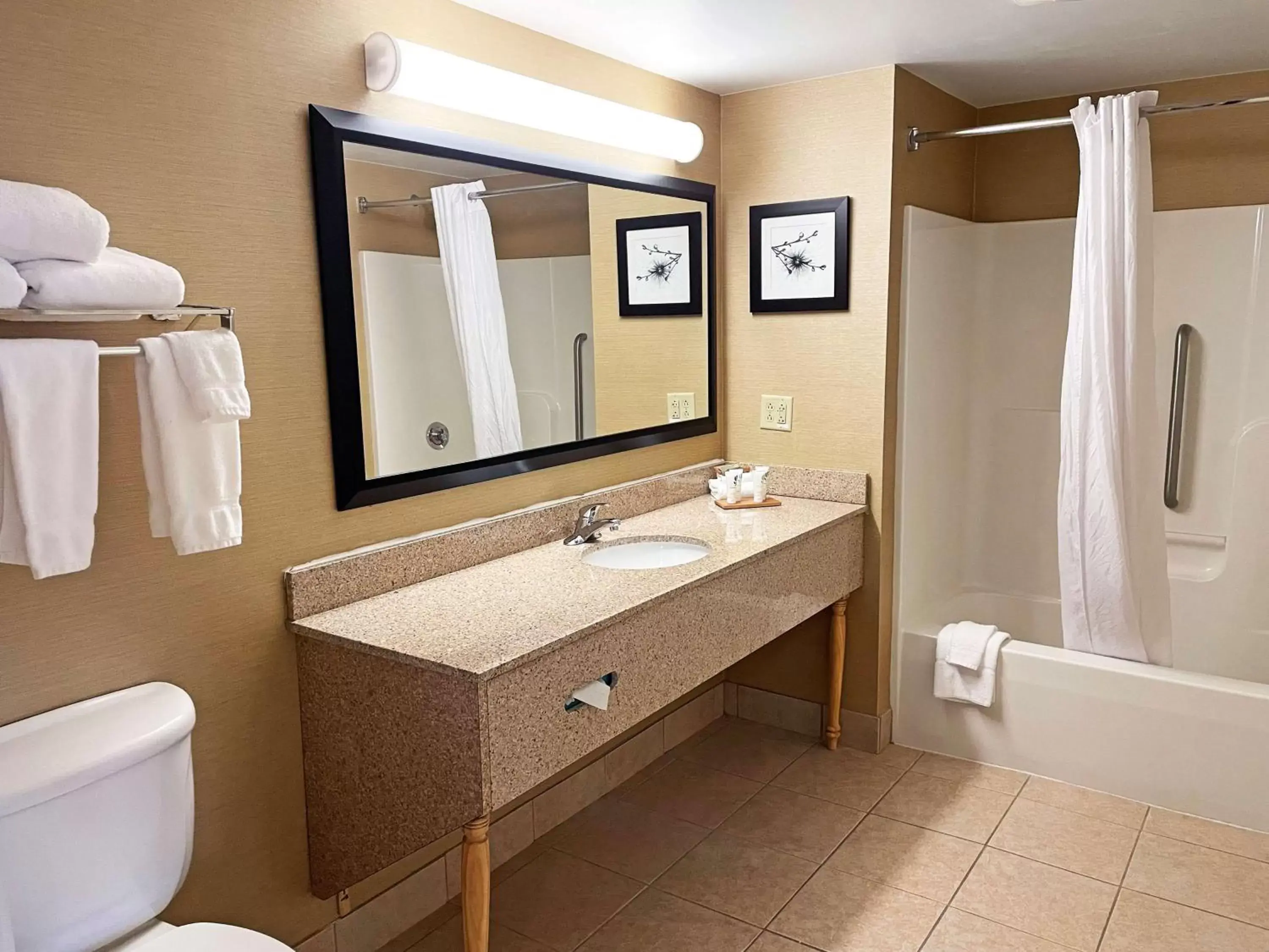 Bathroom in Country Inn & Suites by Radisson, Findlay, OH