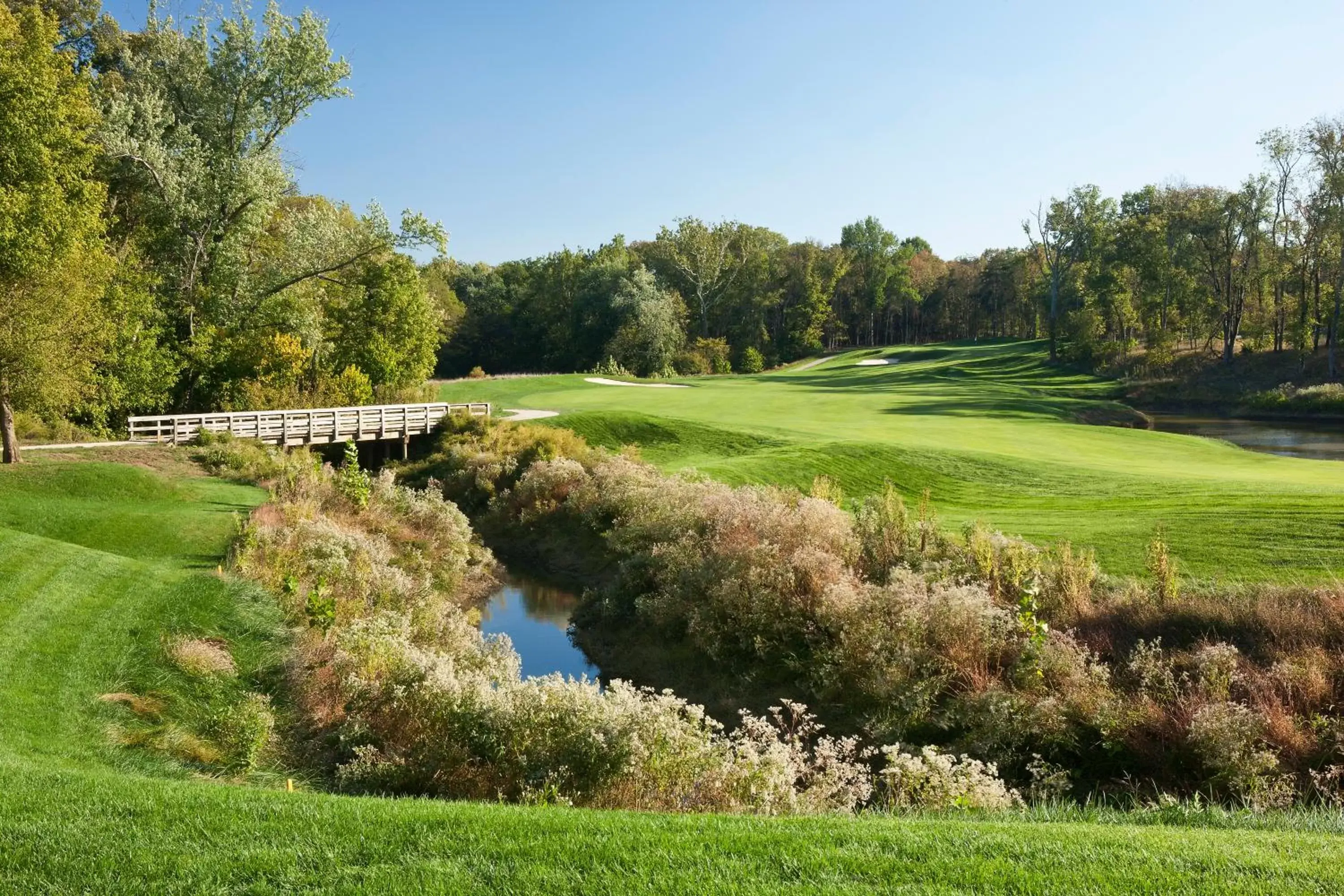 Garden in Lansdowne Resort and Spa