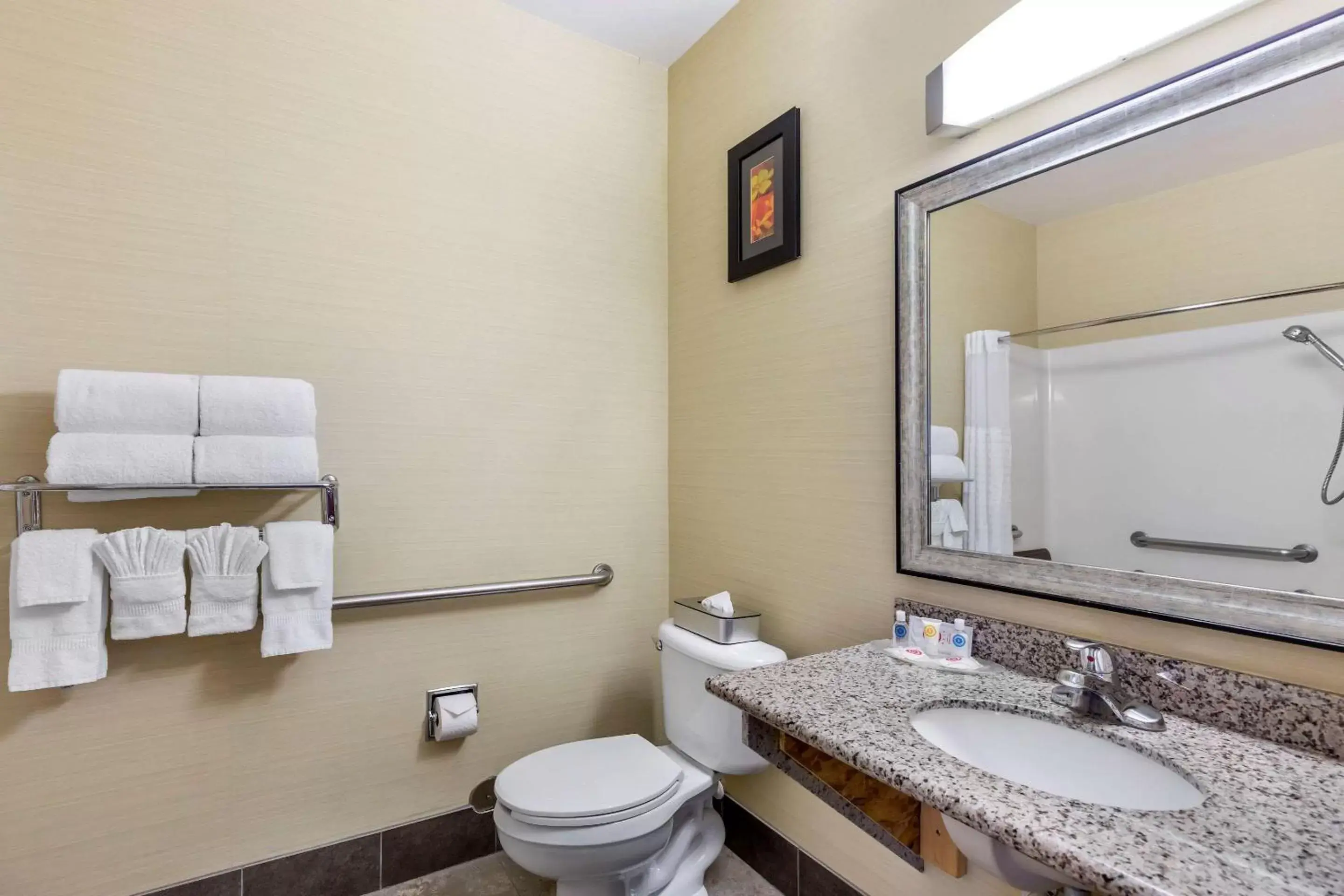 Photo of the whole room, Bathroom in Comfort Suites Denver Tech Center/Englewood