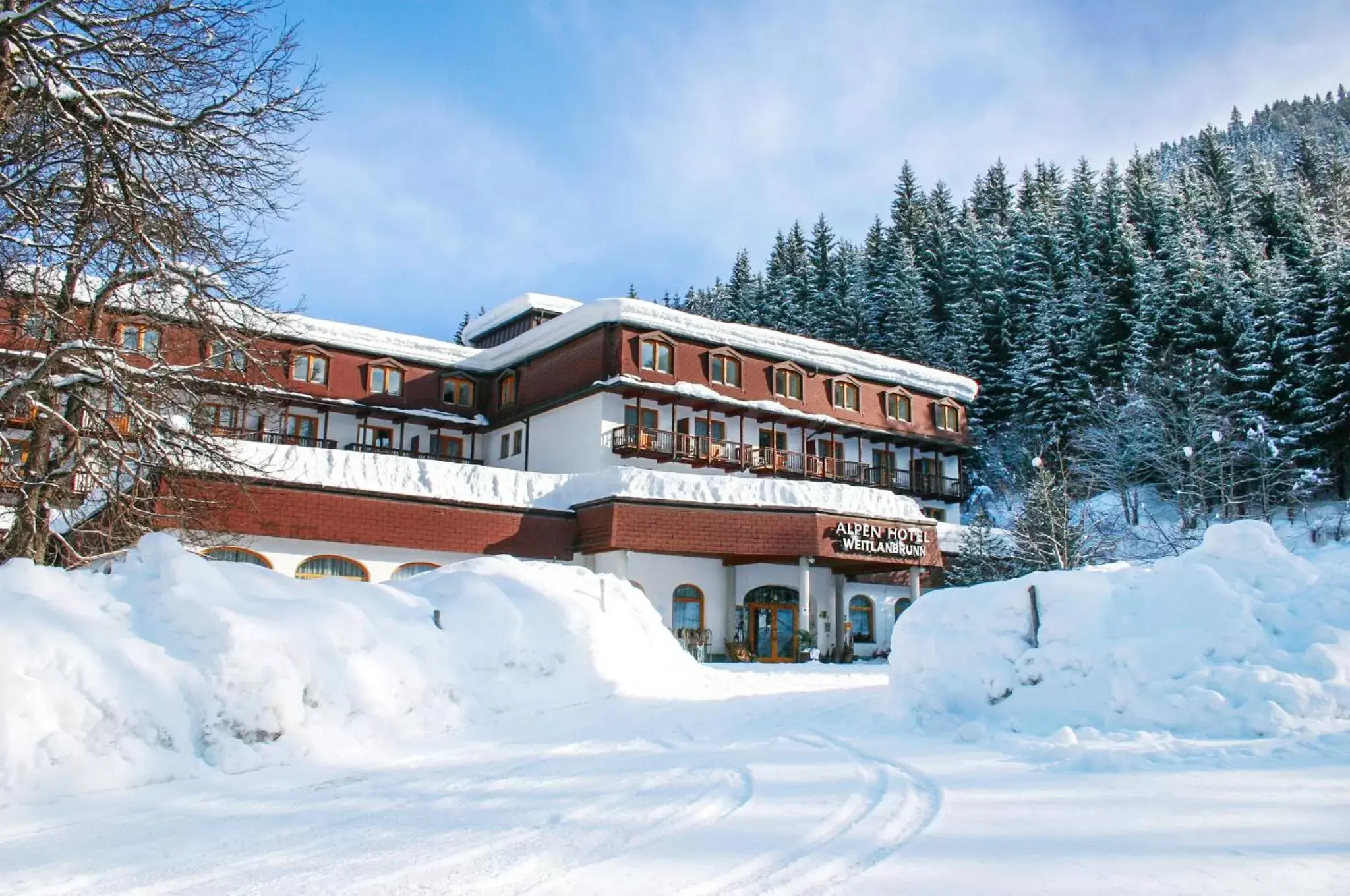 Facade/entrance, Winter in Alpenhotel Weitlanbrunn
