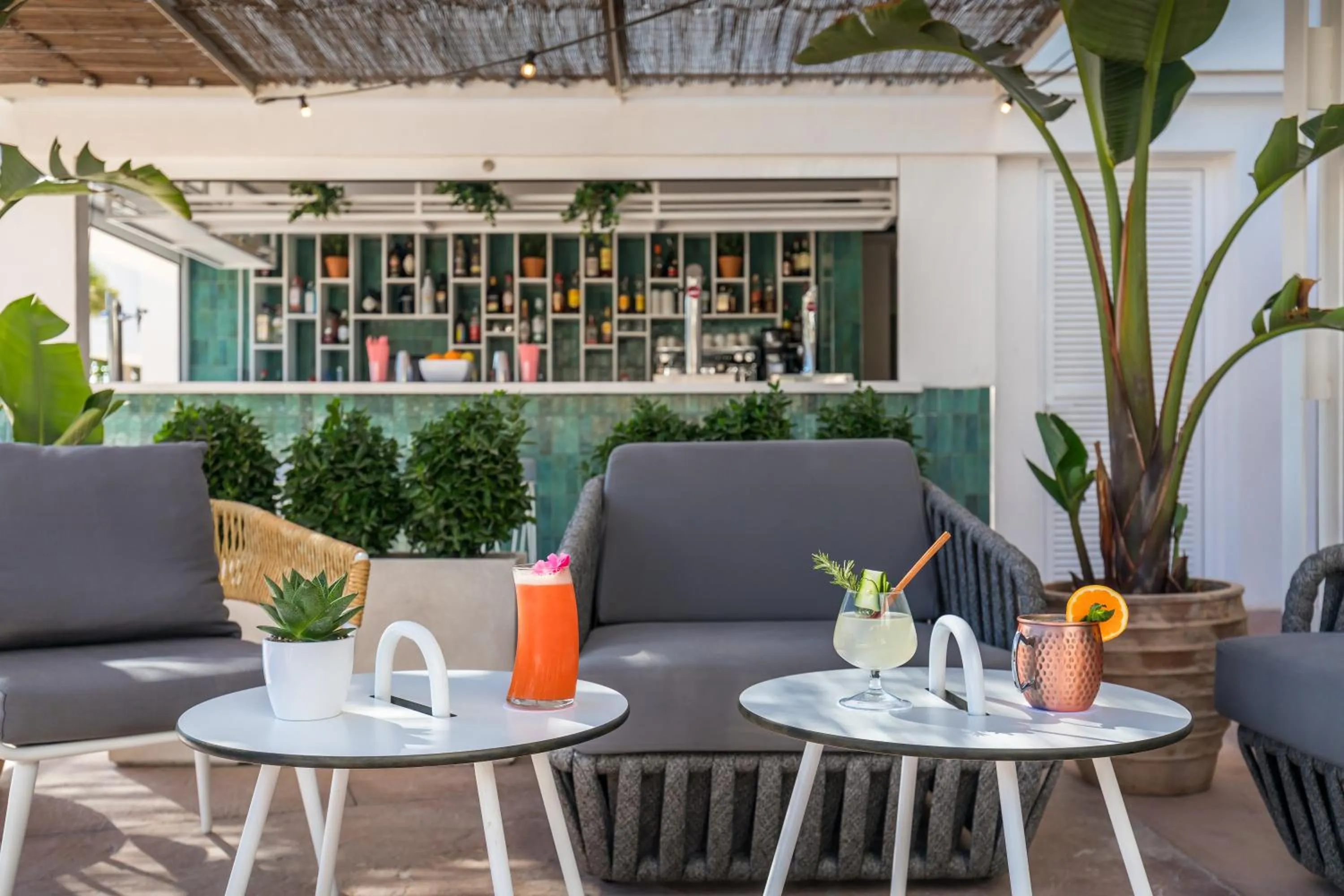 Drinks in Barceló Ponent Beach