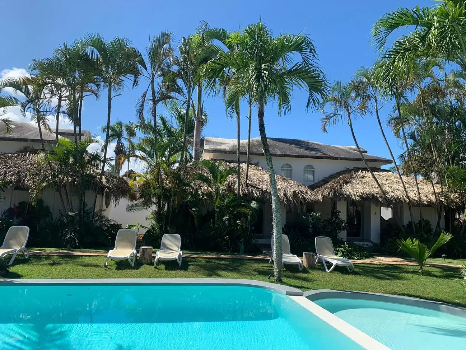 Garden, Swimming Pool in Hotel La Tortuga