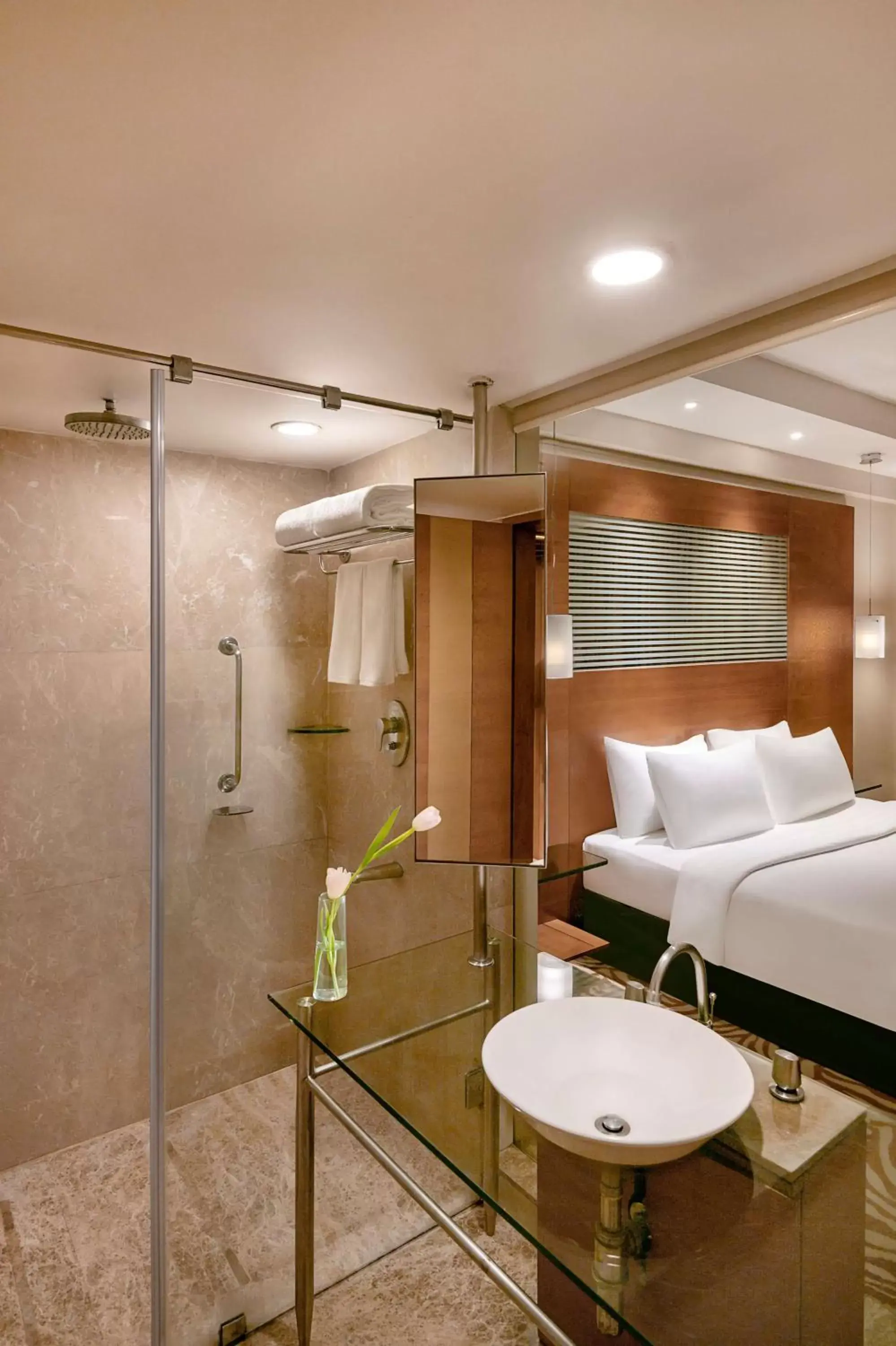Bathroom in Radisson Blu Hotel Ahmedabad