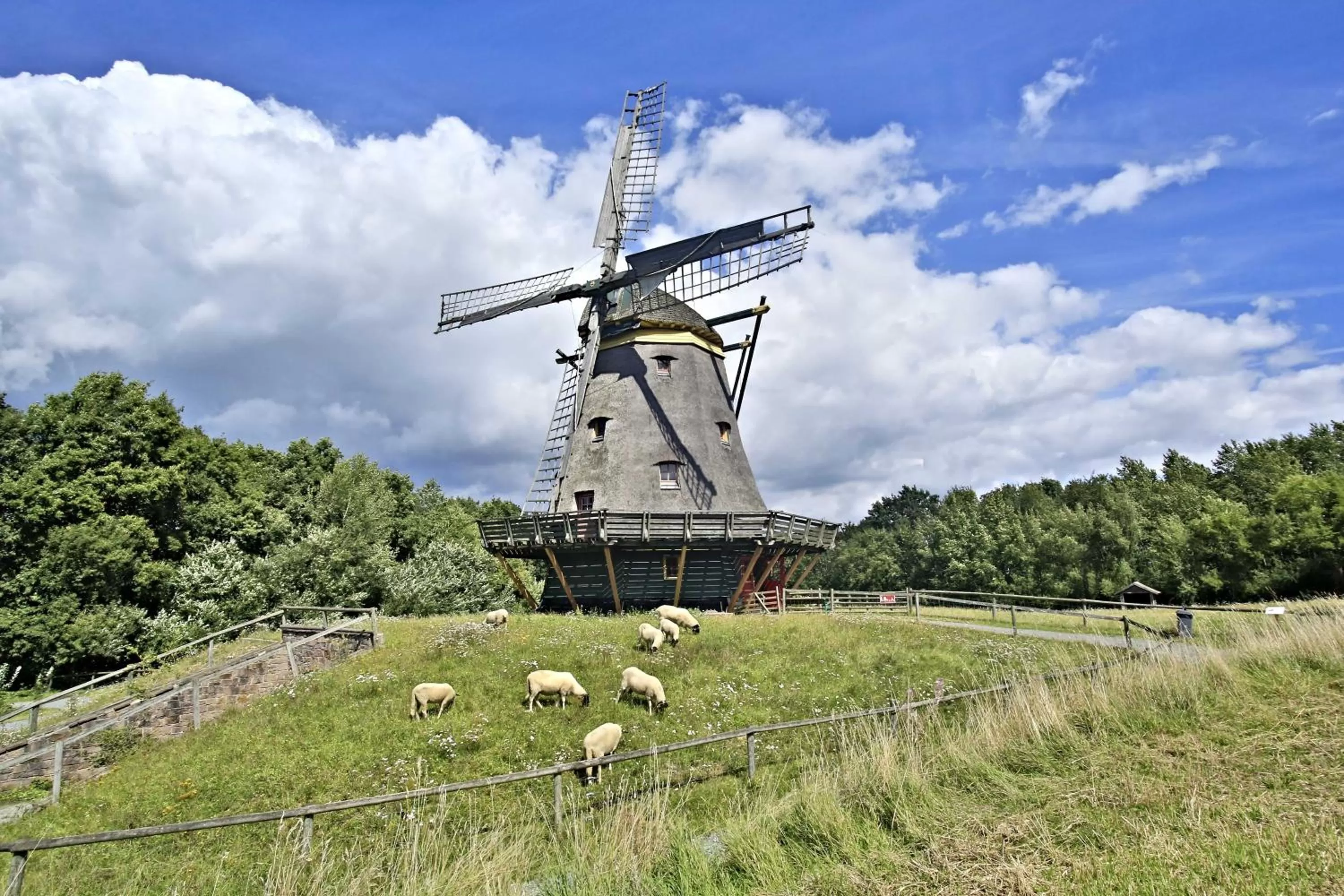 Area and facilities in Limes Hotel