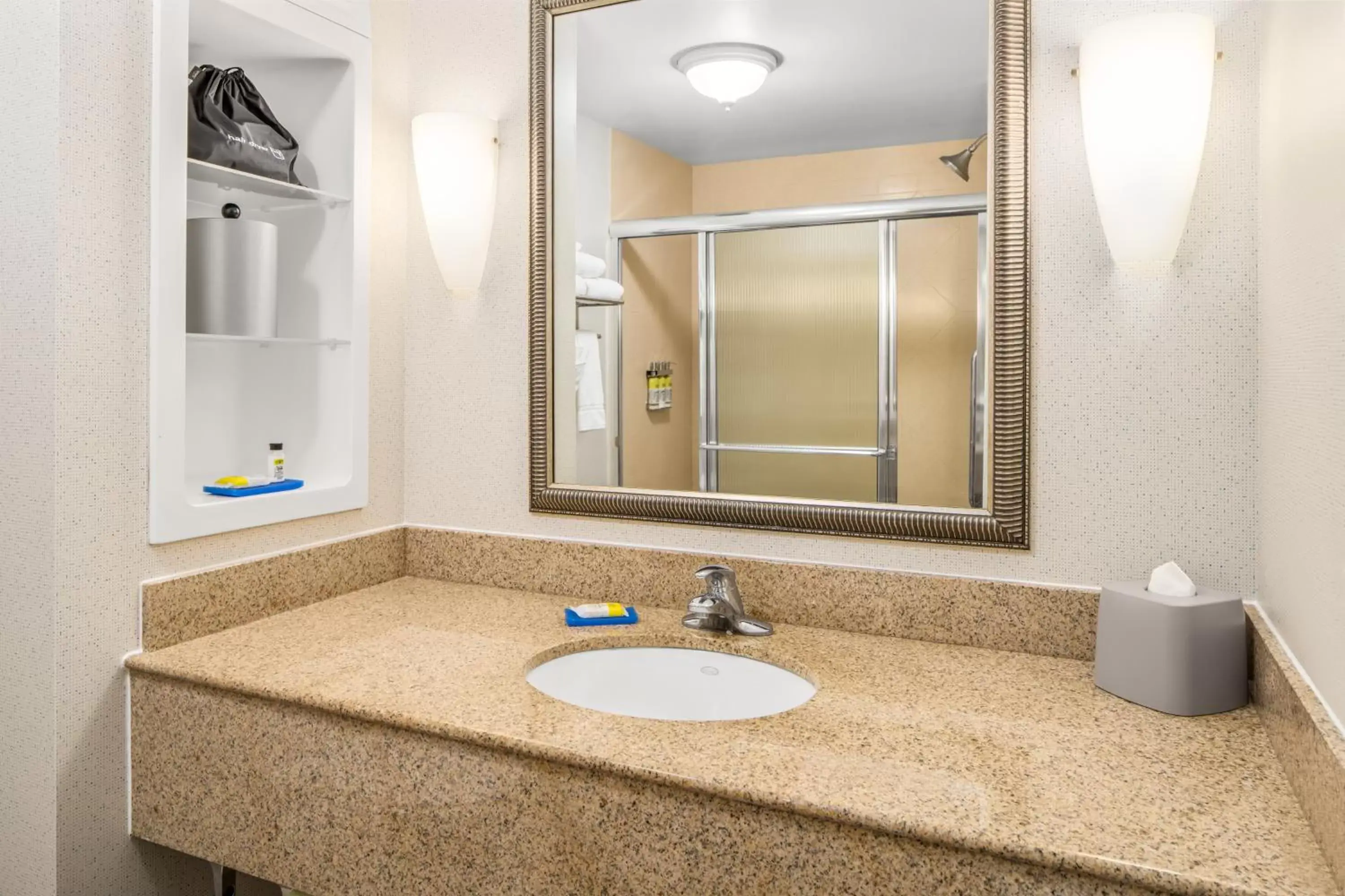 Bathroom in Holiday Inn Express & Suites Wilmington-Newark, an IHG Hotel