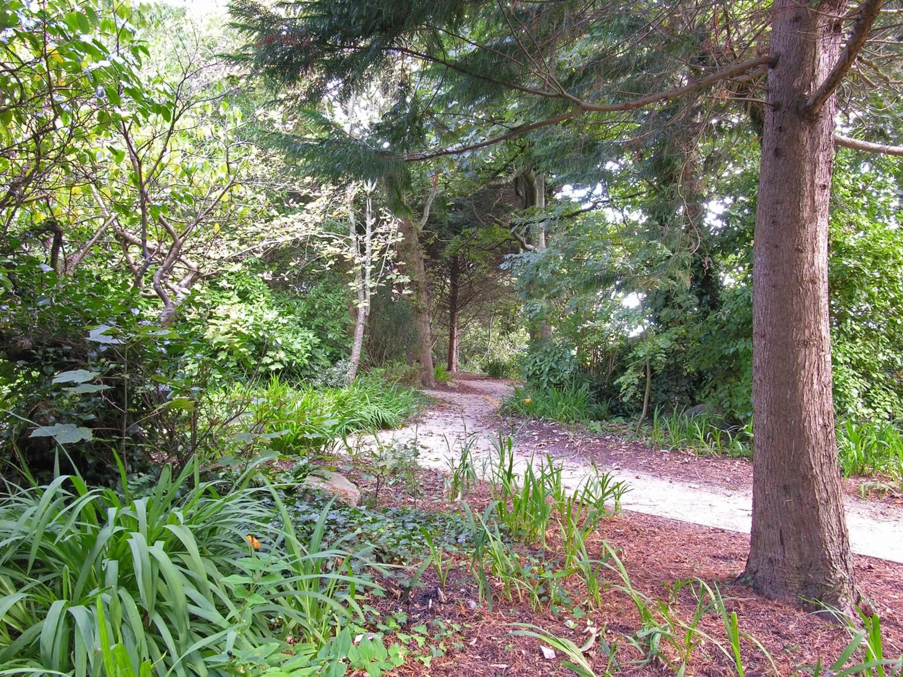 Natural landscape in The Ardilaun Hotel