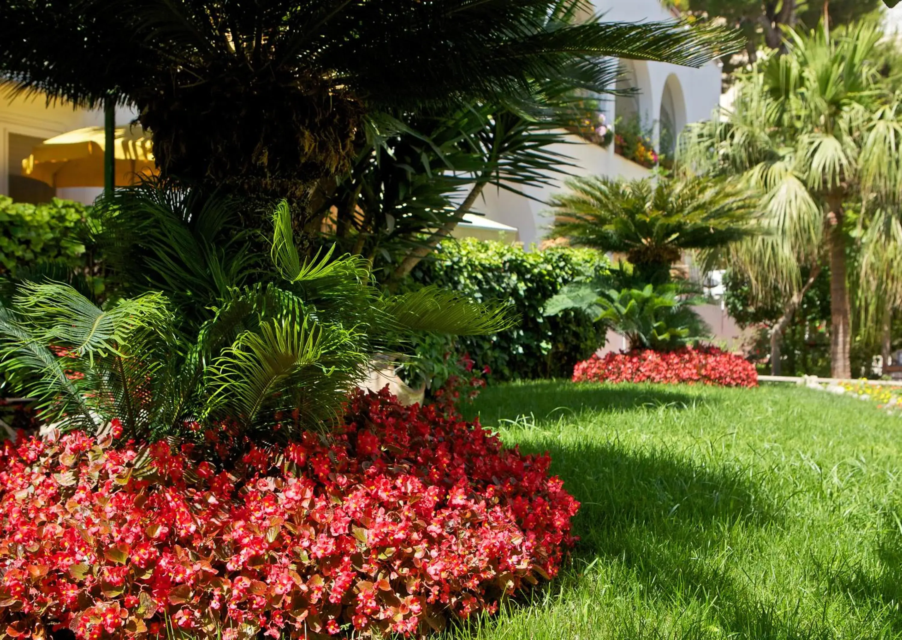 Garden in Hotel San Felice