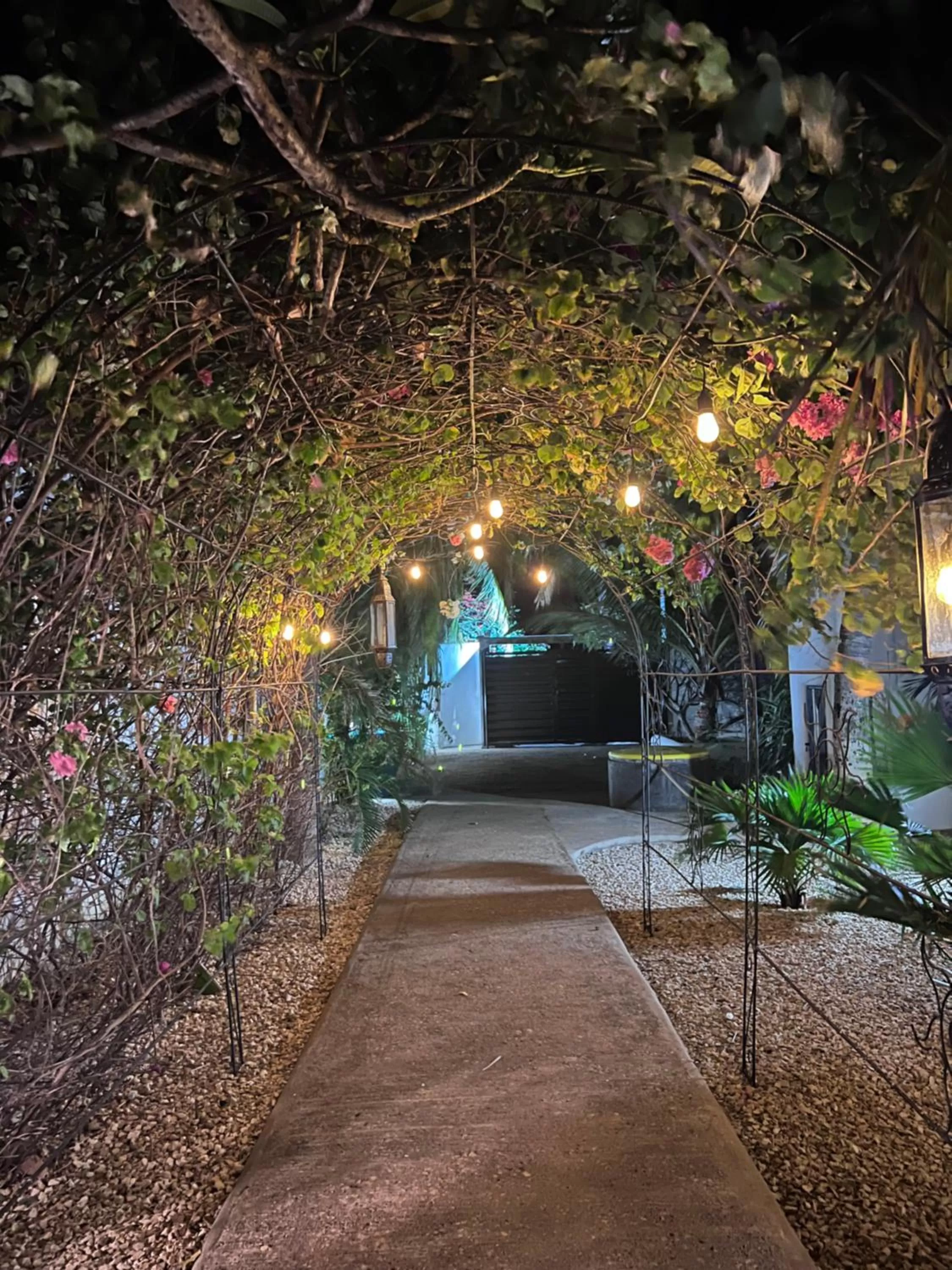 Night in PAP'S Chambres d'Hôtes