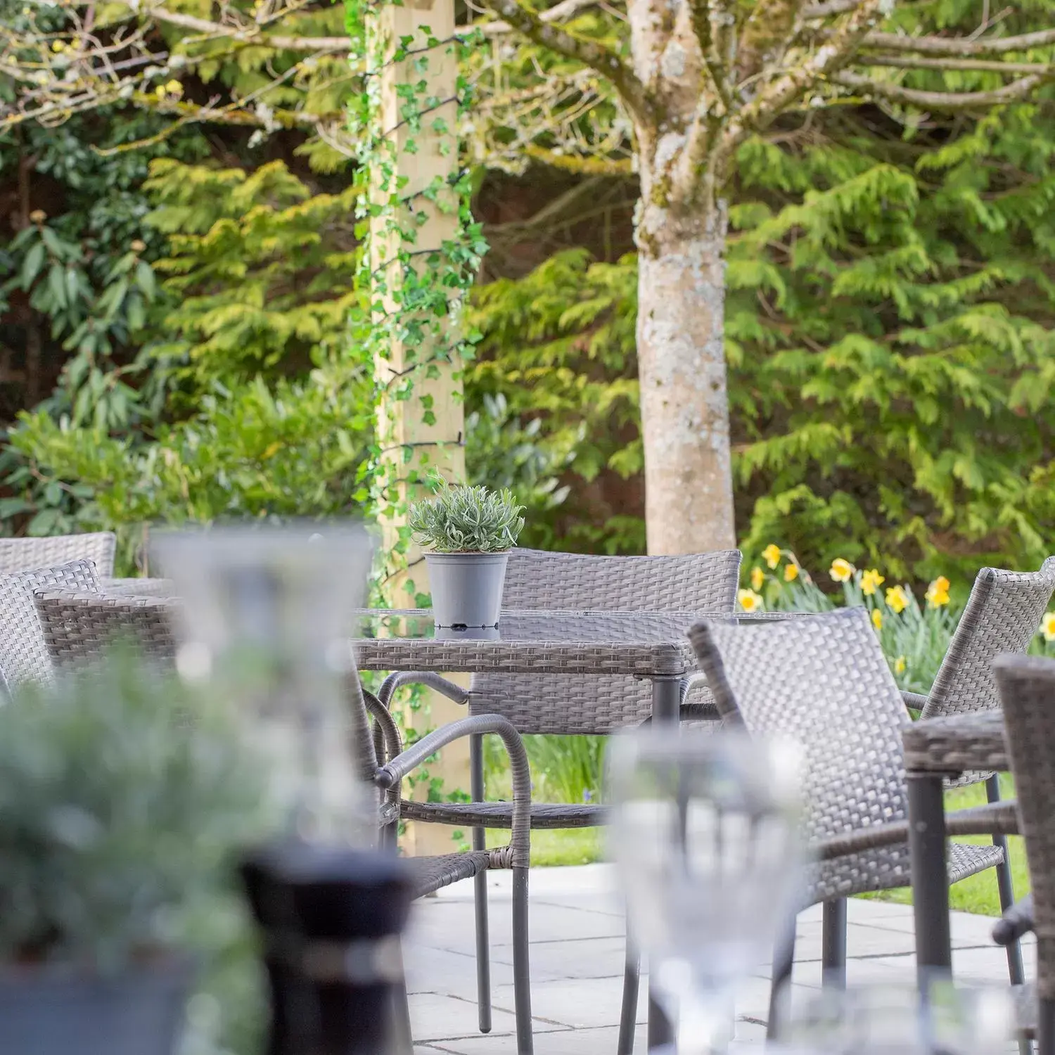 Garden in Stratton House Hotel & Spa