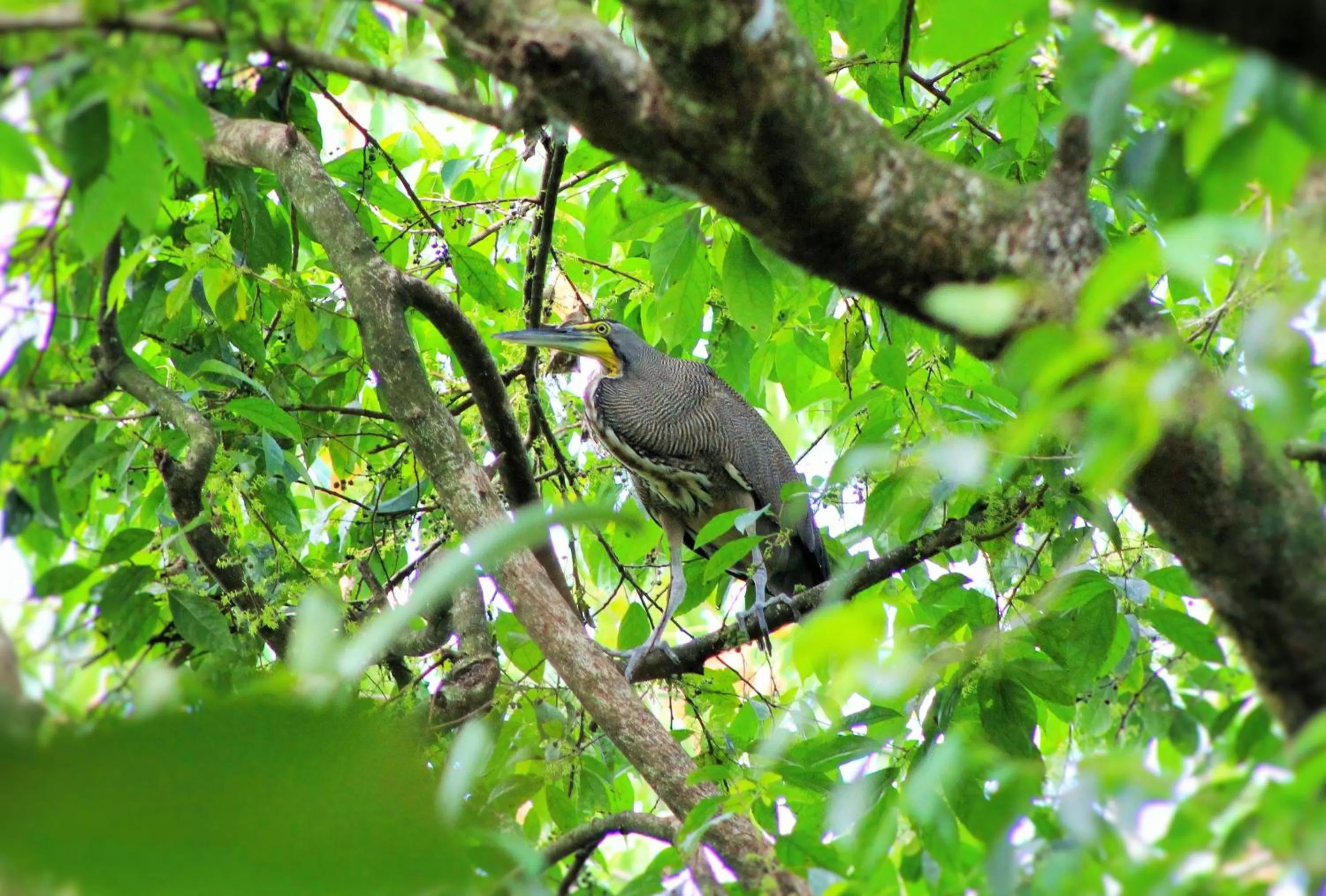 Area and facilities in Hotel Monte Real