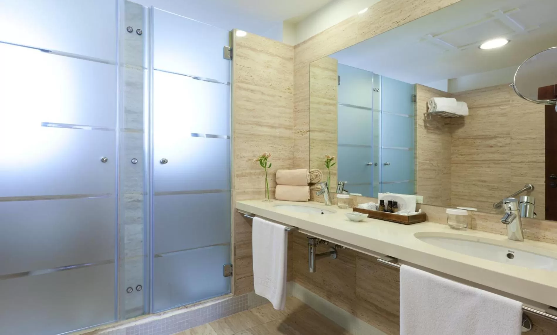 Shower in Hotel Suite Villa Maria