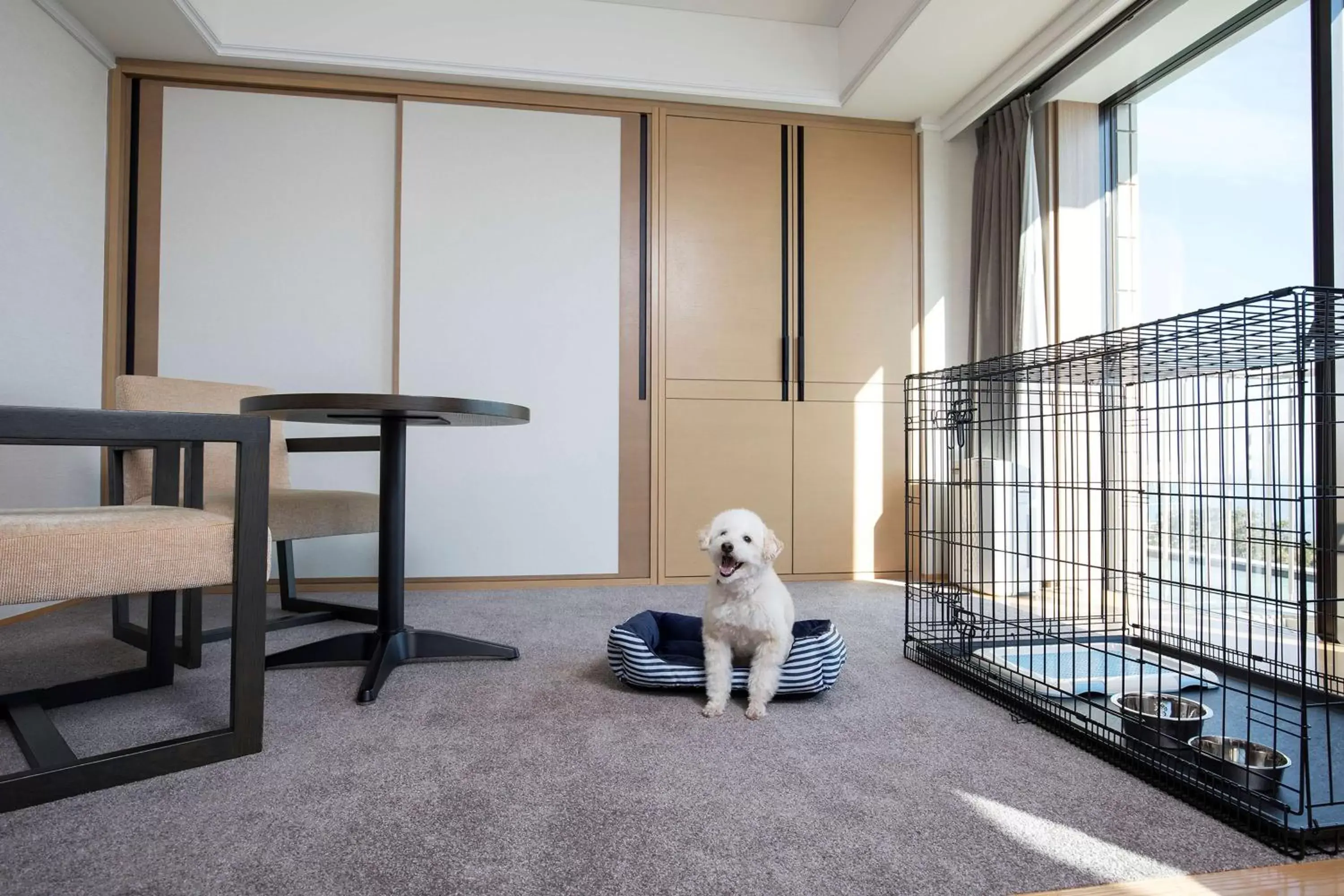 Living room, Pets in Hilton Odawara Resort & Spa