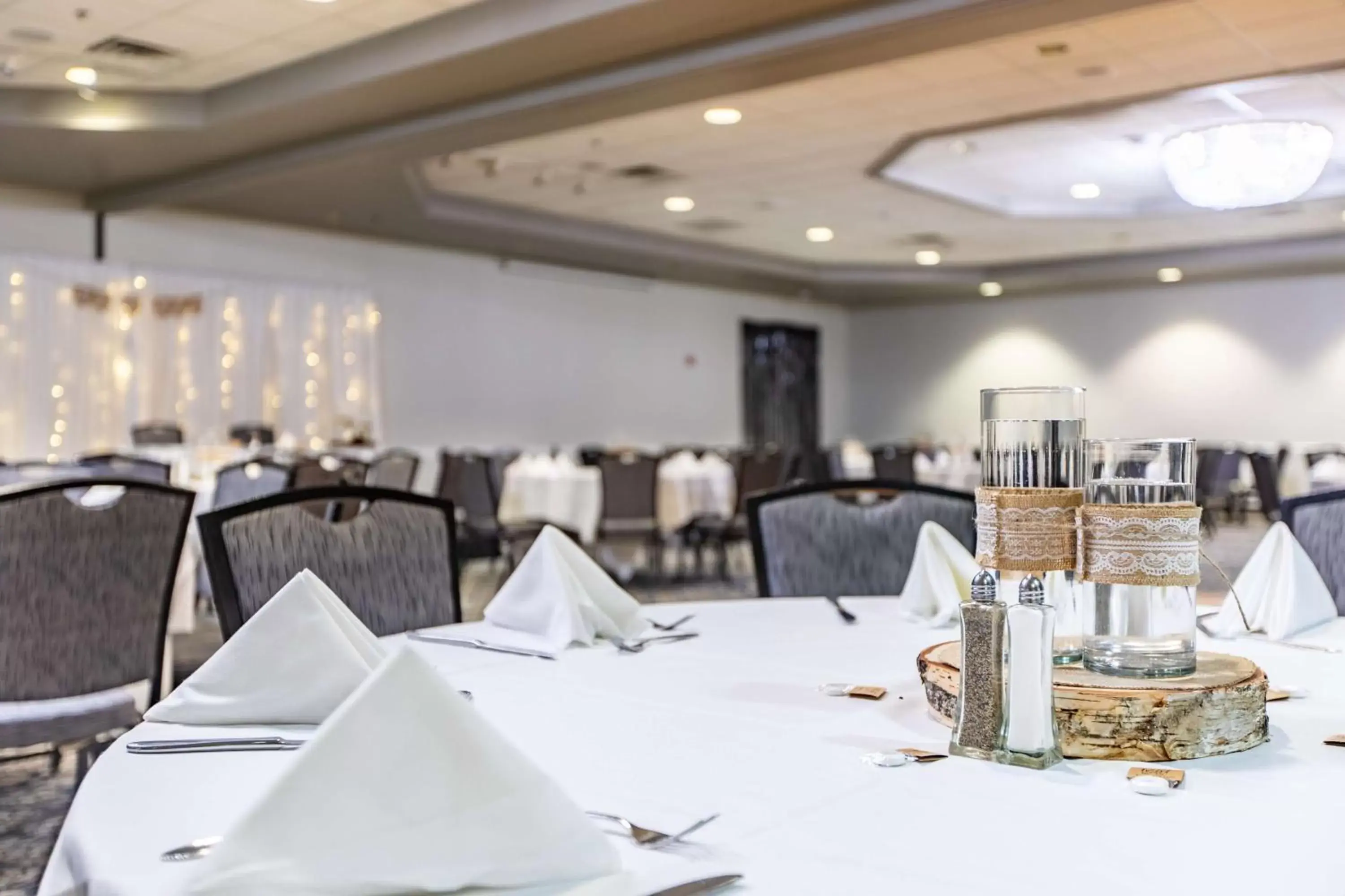 Banquet/Function facilities, Restaurant/Places to Eat in Best Western Rochester Hotel Mayo Clinic Area/ St. Mary's