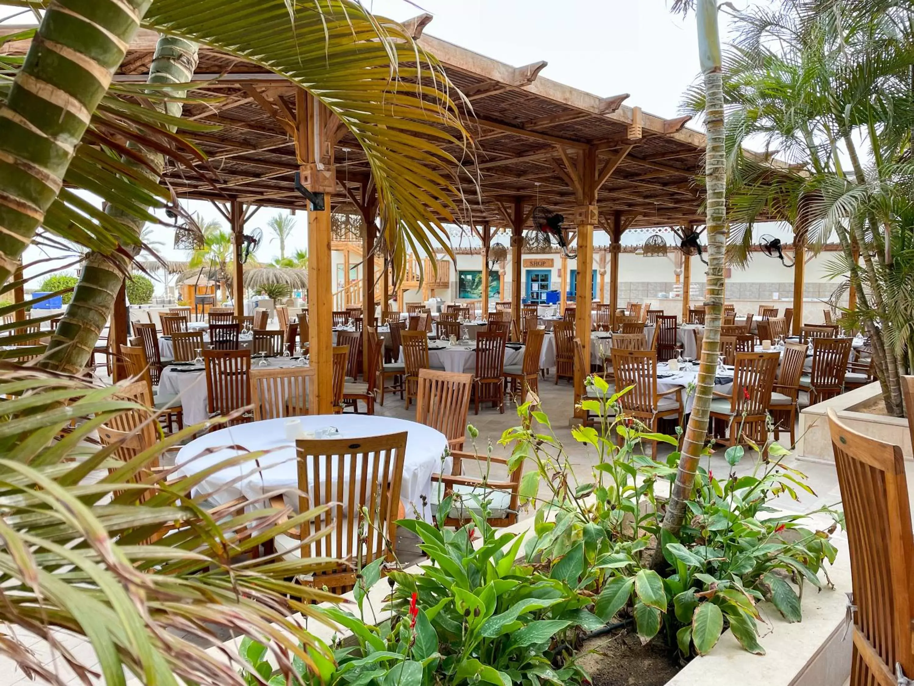 Restaurant/Places to Eat in The Breakers Diving and Surfing Lodge Soma Bay