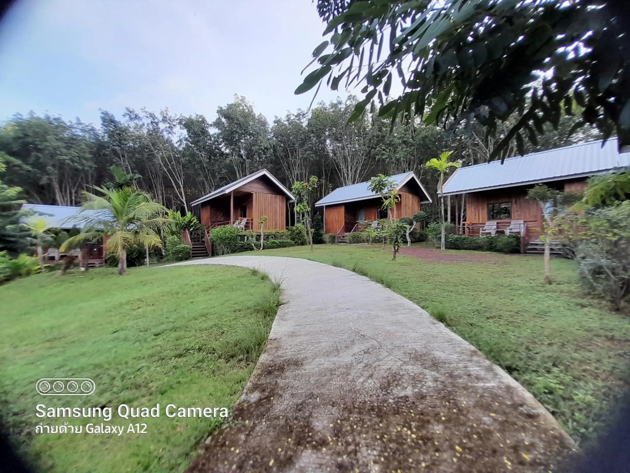 Garden, Property Building in Lanta Para hut