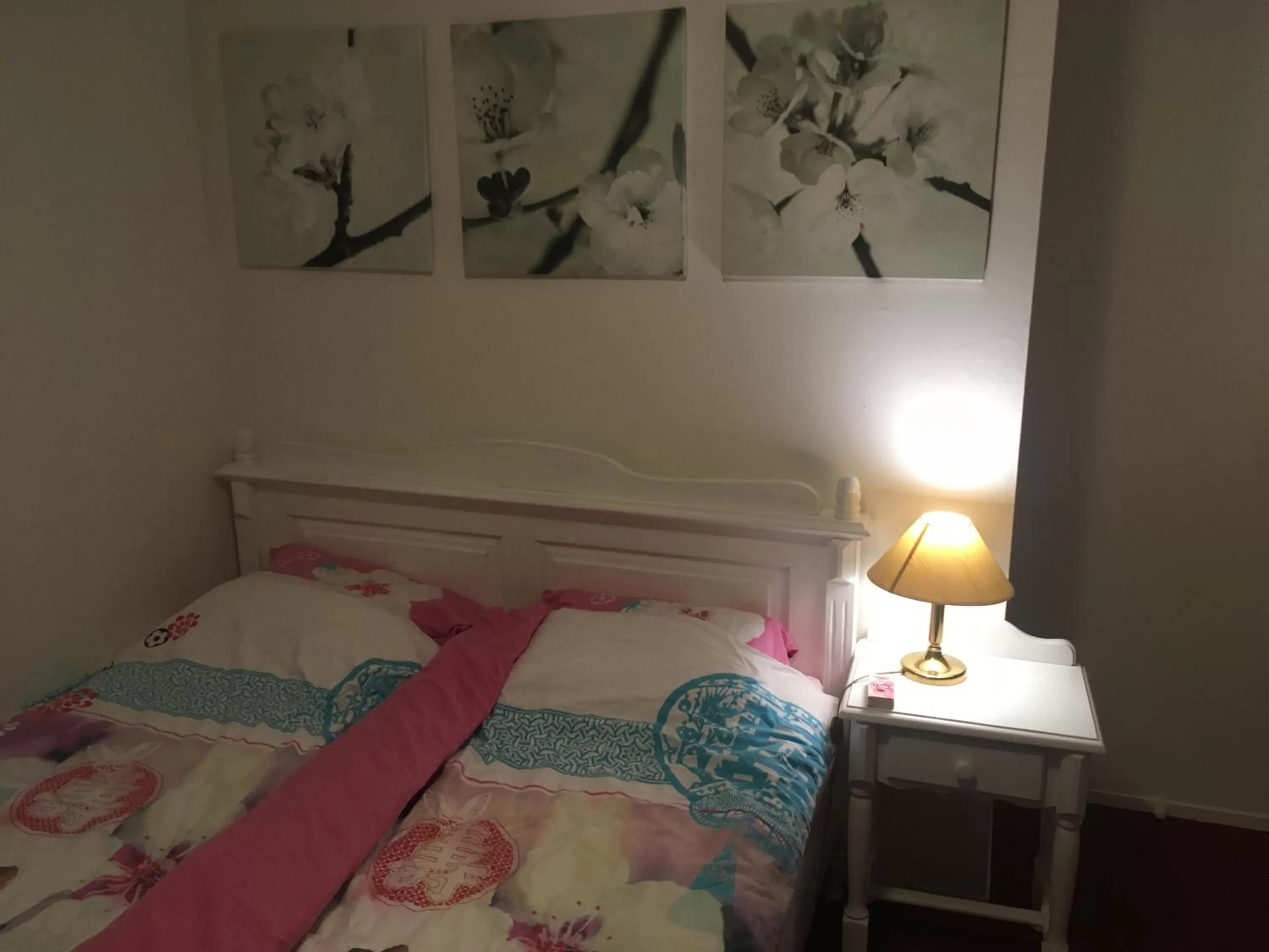 Bed in Wim's Place Schiphol Amsterdam Airport