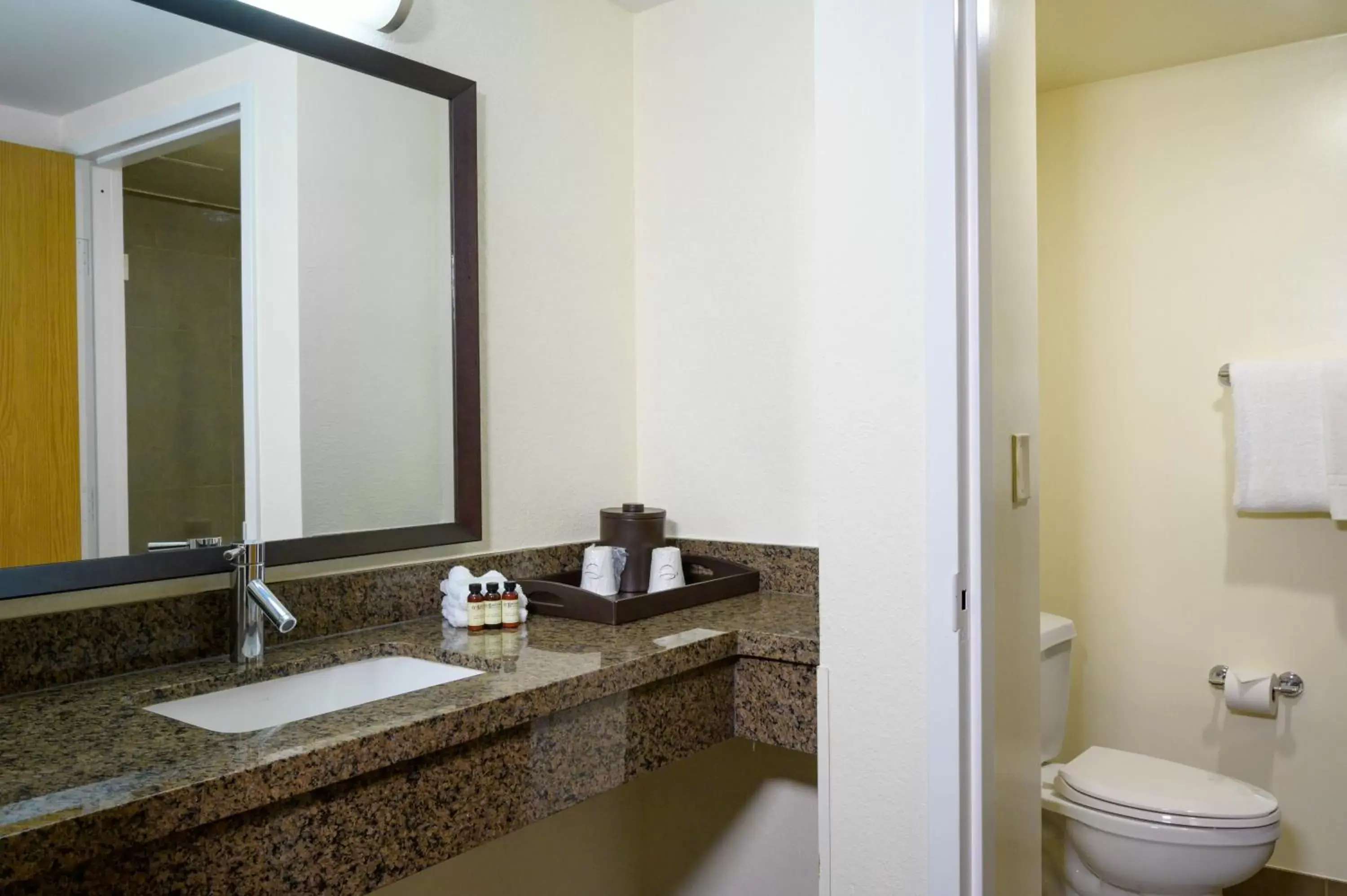 Shower, Bathroom in Airtel Plaza Hotel