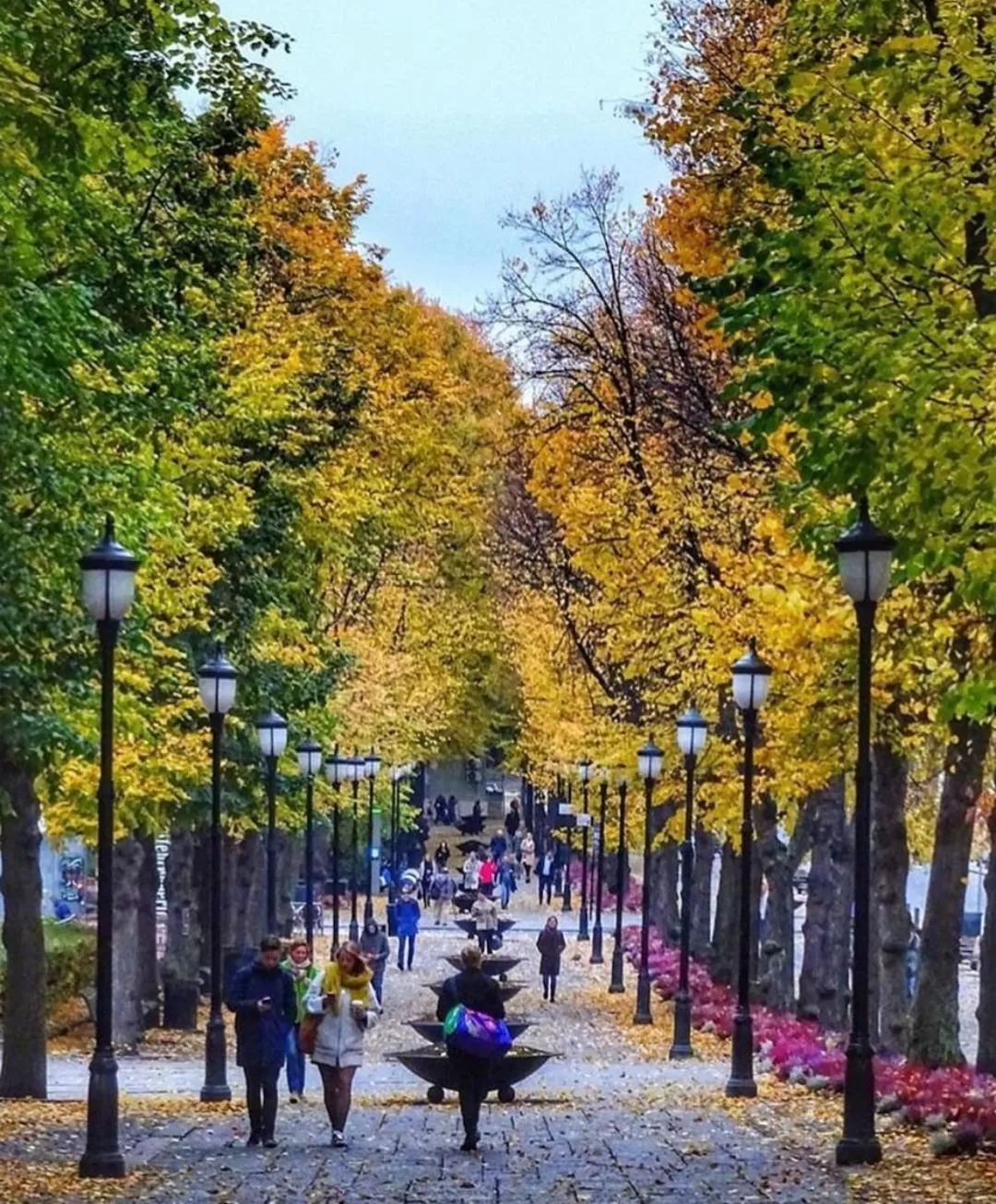 Nearby landmark in First Hotel Millennium