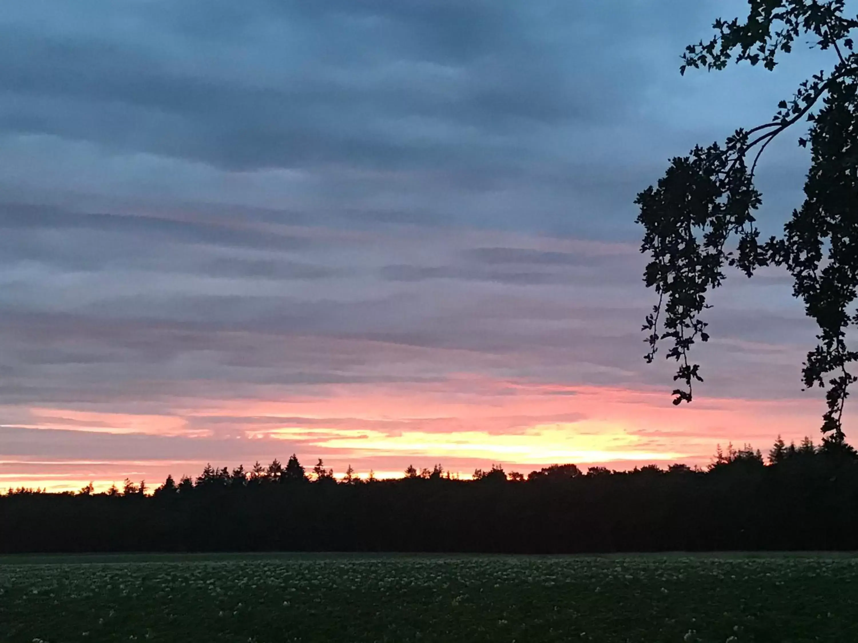 Natural landscape in Het Uilennest