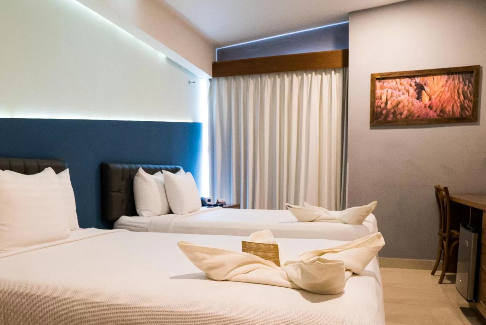 Photo of the whole room, Bed in Hotel Clipperton