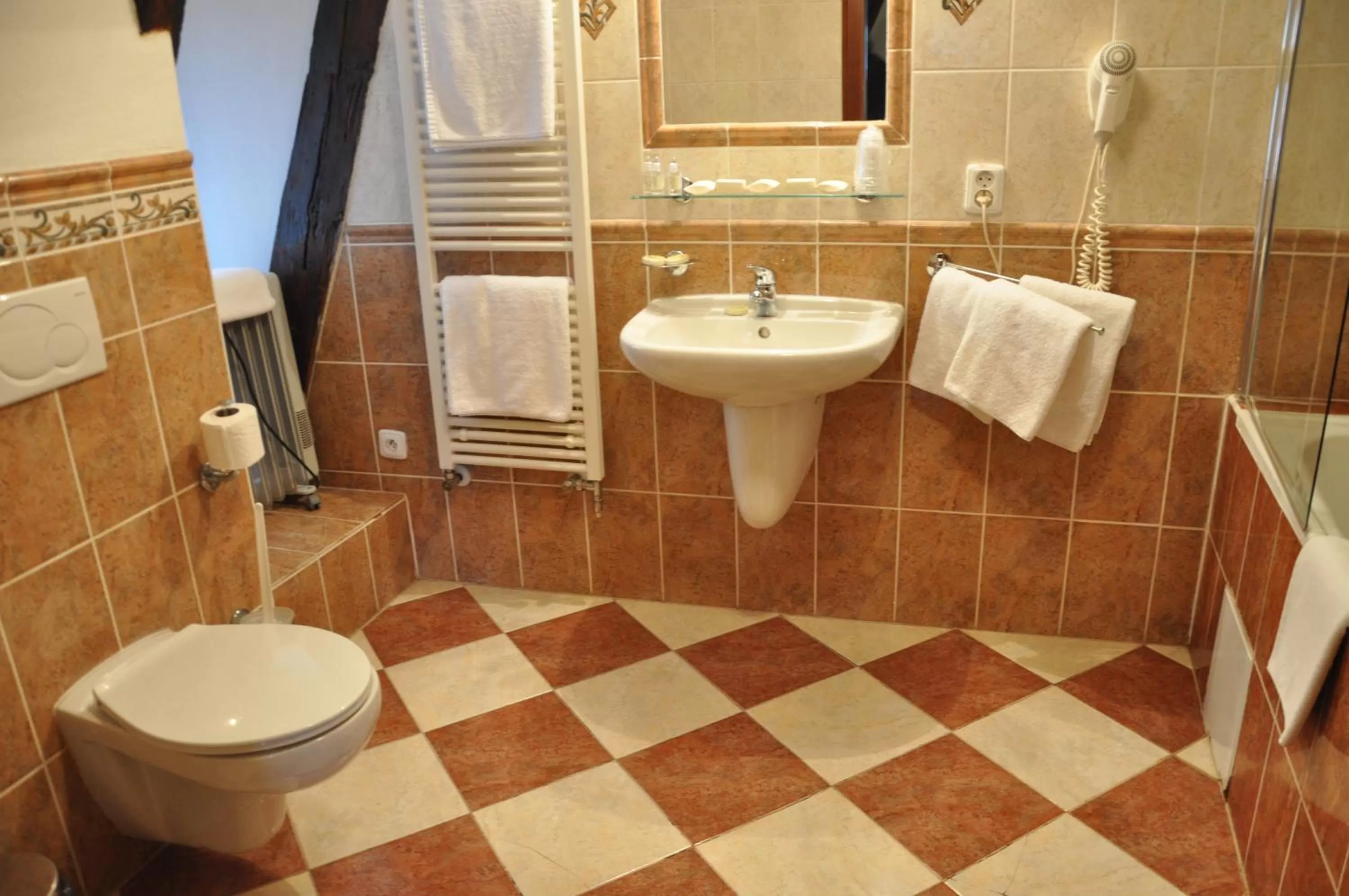 Bathroom in Hotel Cerny Slon
