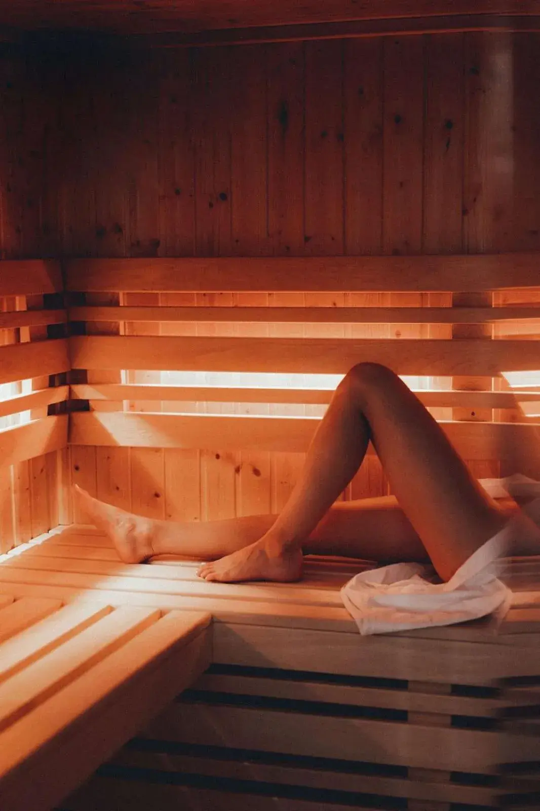 Sauna in Pino Nature Hotel