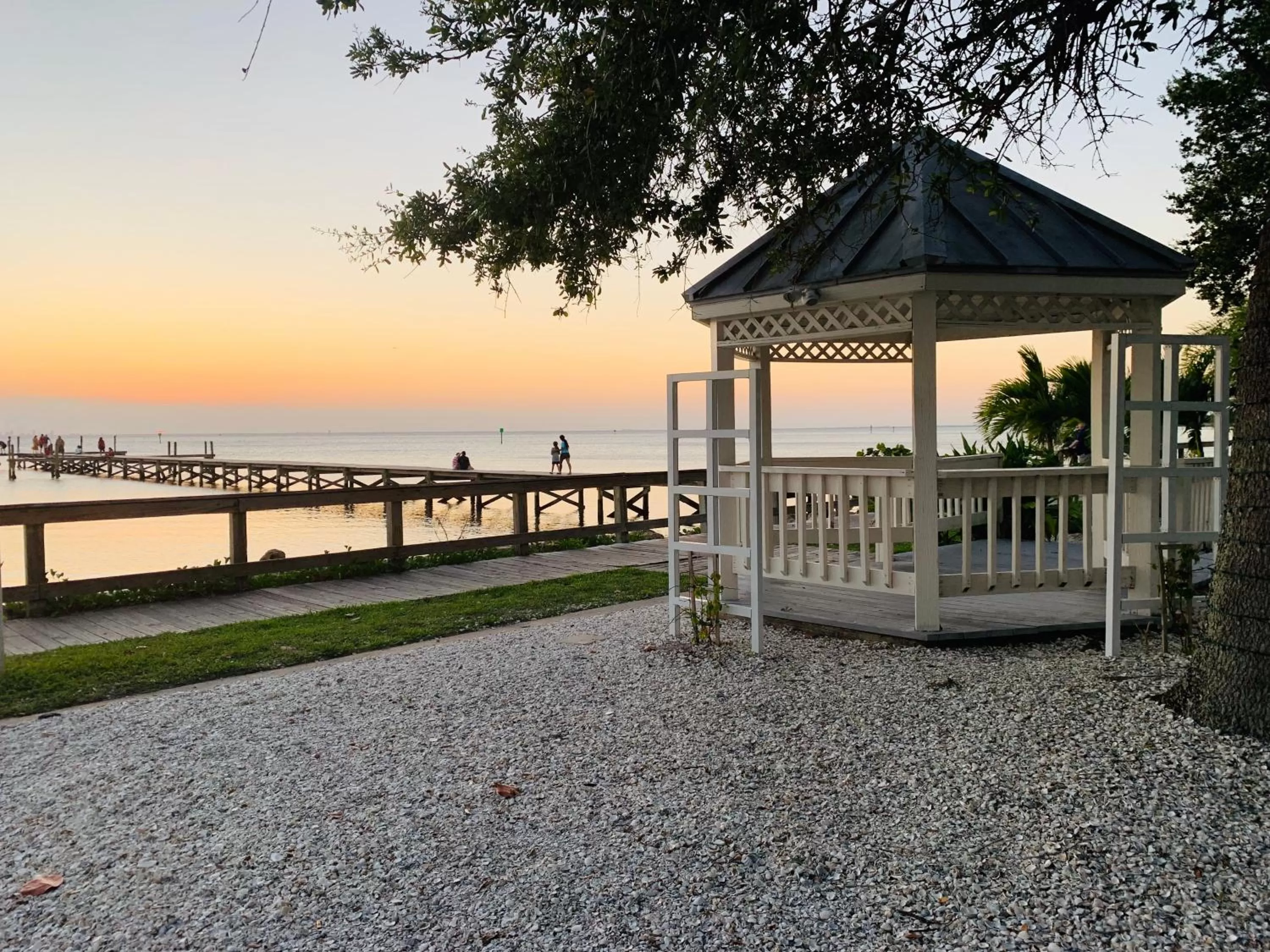 People in TAMPA BAY, BEACH step away, WIFI, FREE PARKING,POOLS, JACUZZI