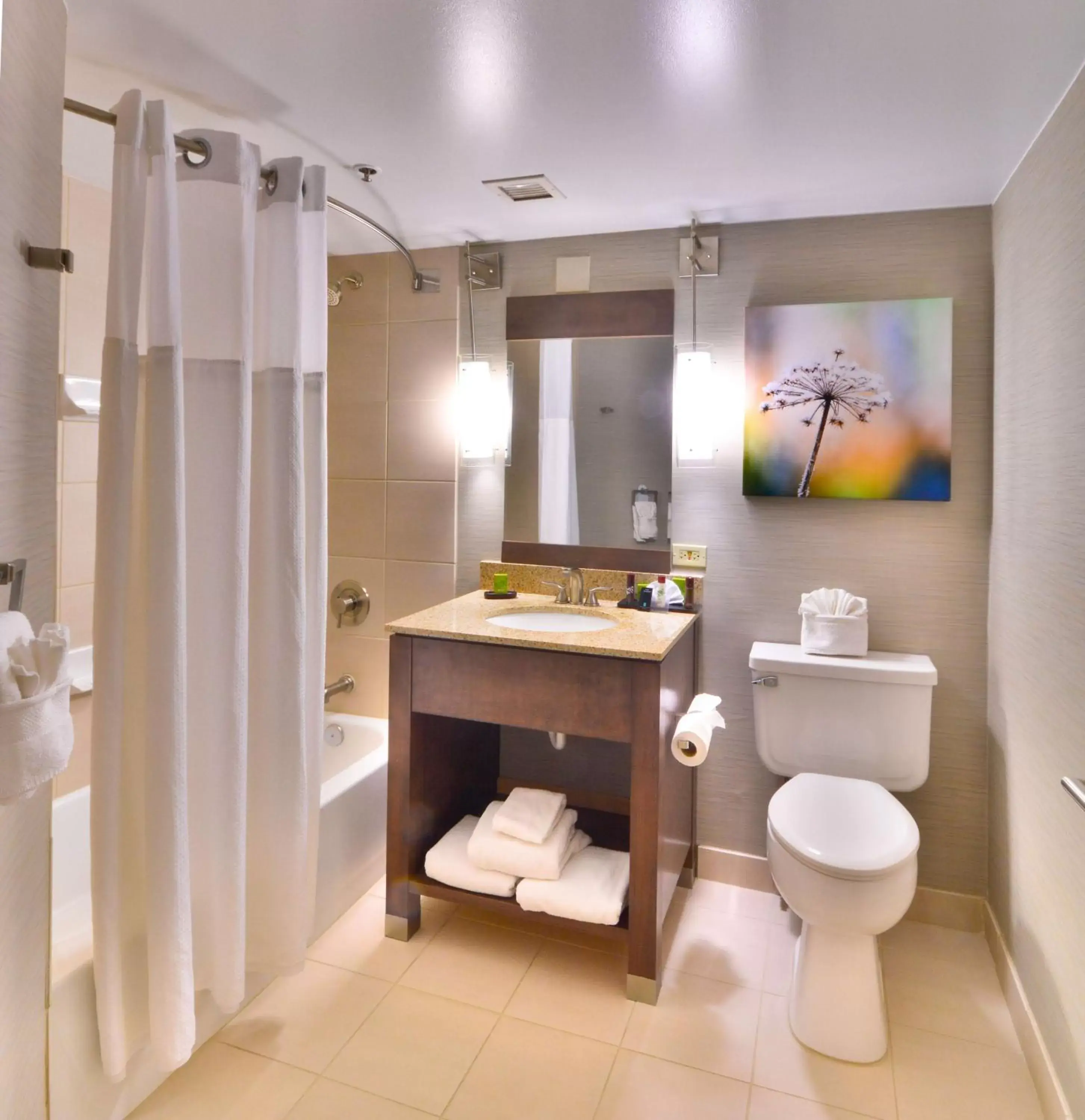 Shower, Bathroom in Embassy Suites by Hilton Denver Central Park