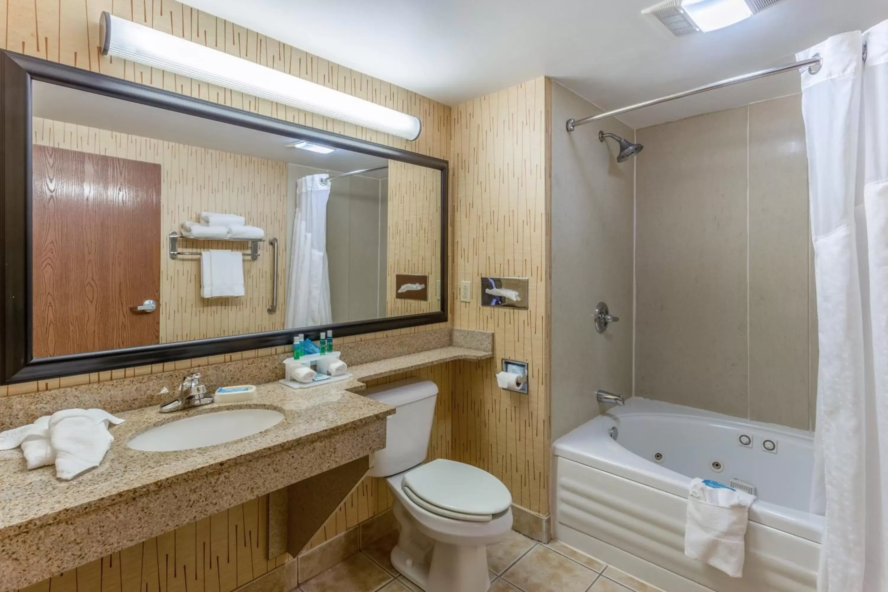 Bathroom in Holiday Inn Express Hotel & Suites Bowling Green, an IHG Hotel