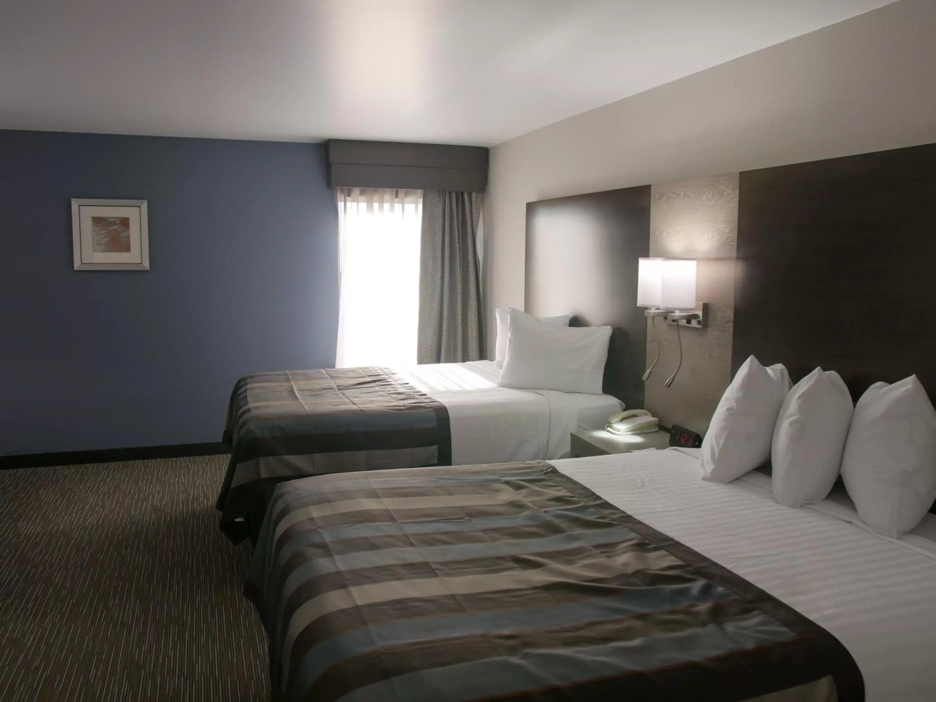 Bed in Wingate by Wyndham Louisville Airport Expo Center