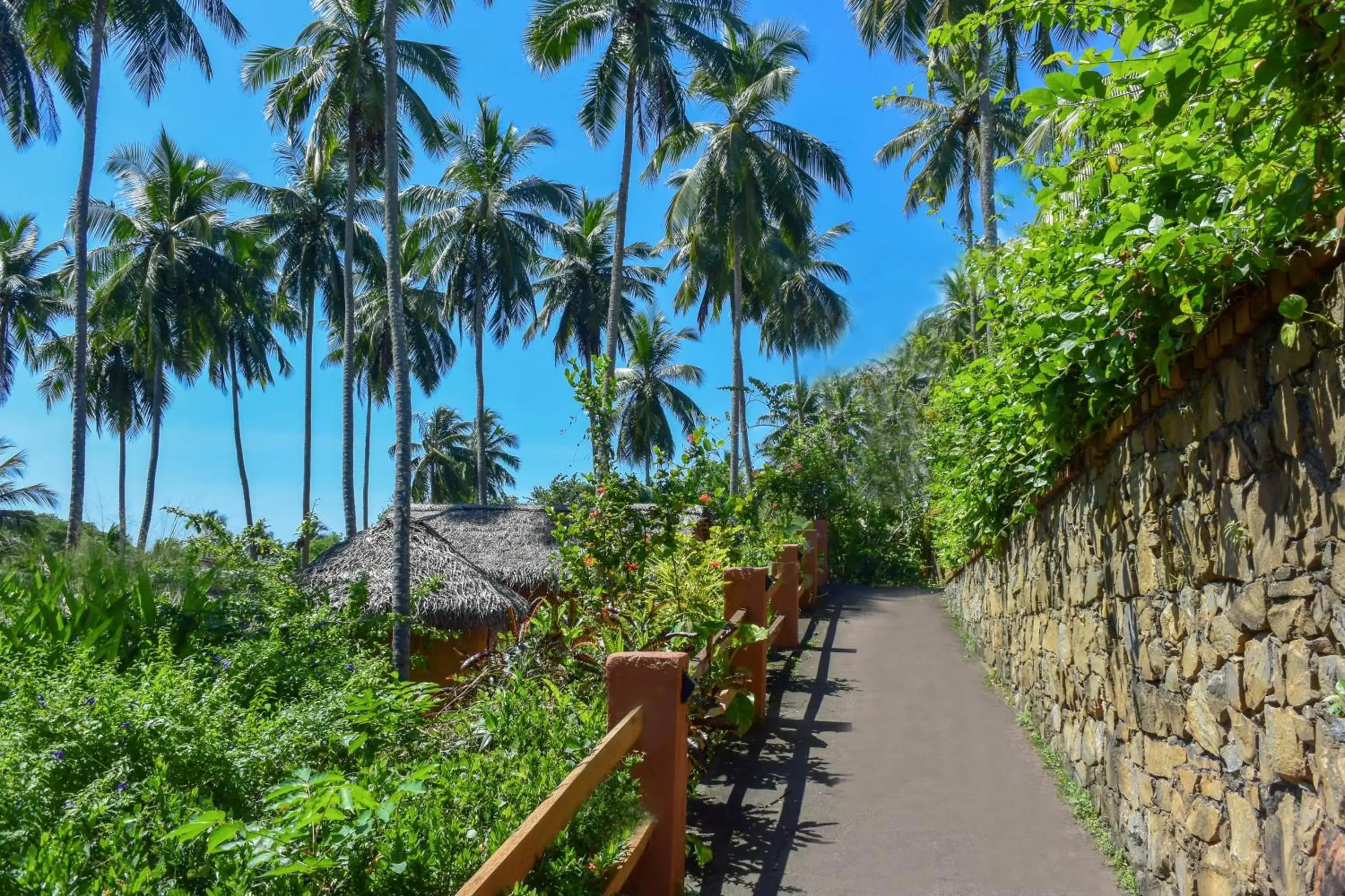 Garden in Eva Lanka Hotel - Beach & Wellness