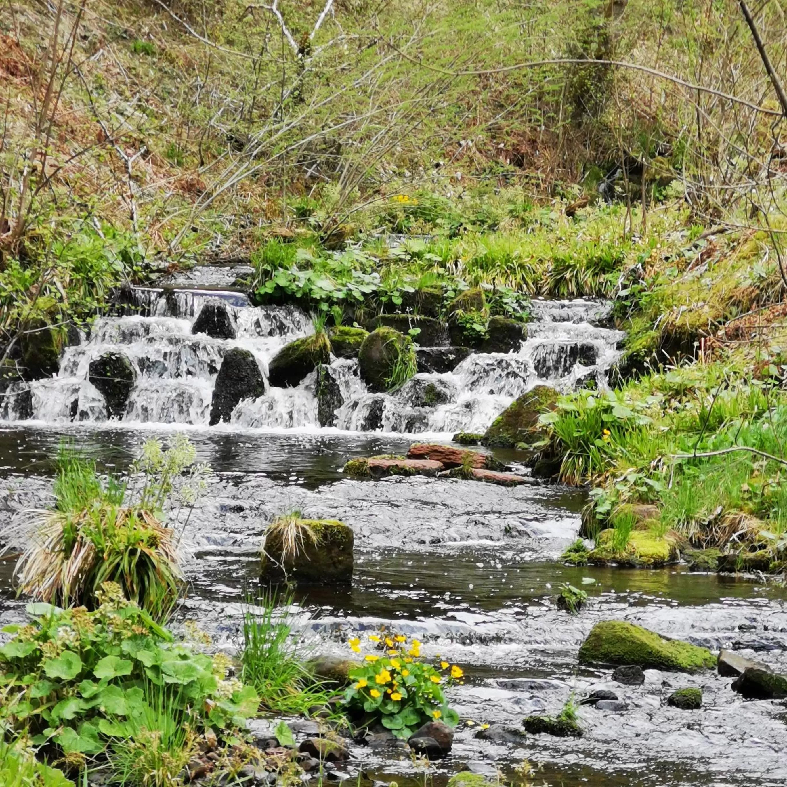 Nearby landmark, Natural Landscape in Haus Hubertus