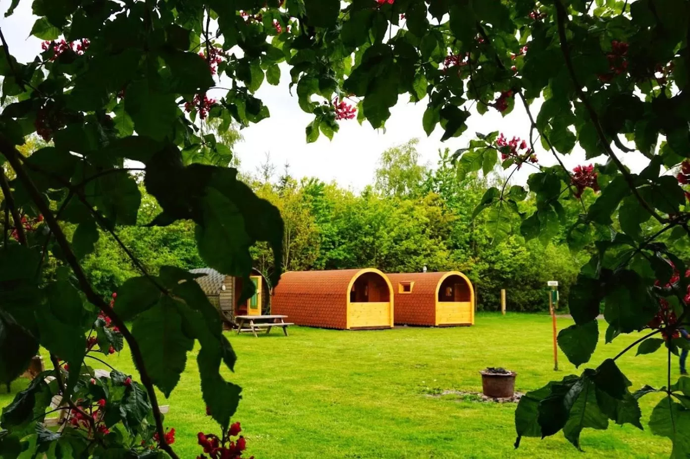 Family in De Kapschuur