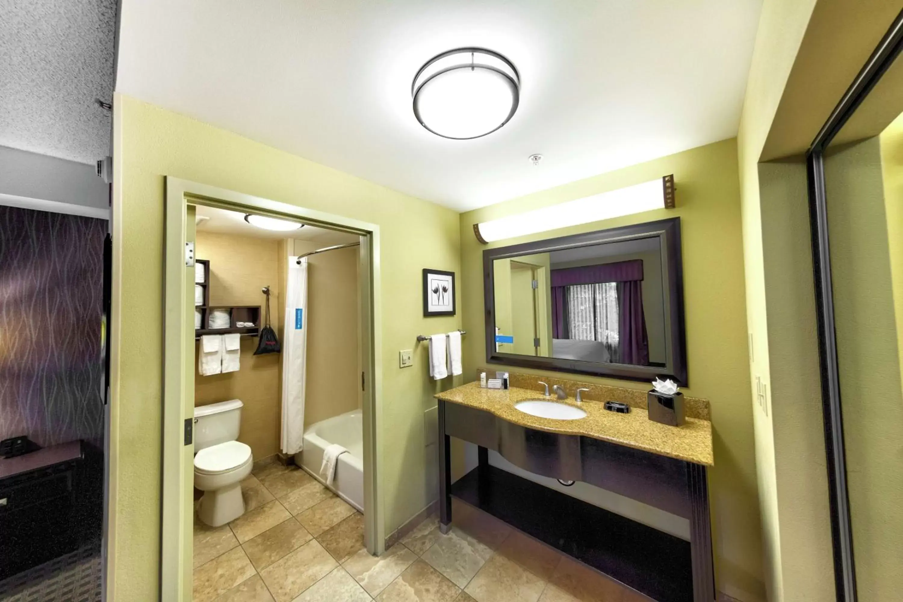 Bathroom in Hampton Inn & Suites Chadds Ford