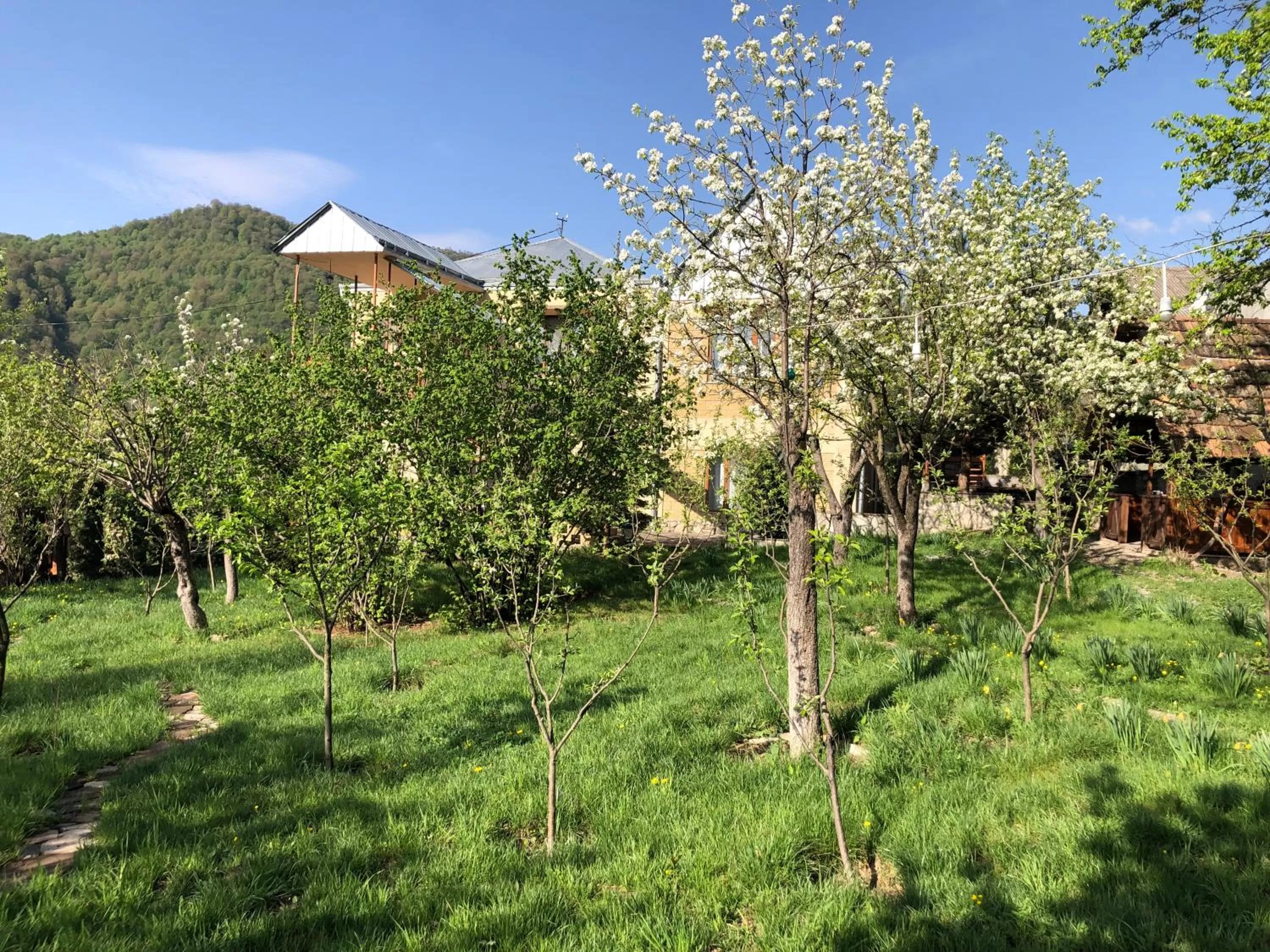 Garden in Dil Hill by Sam