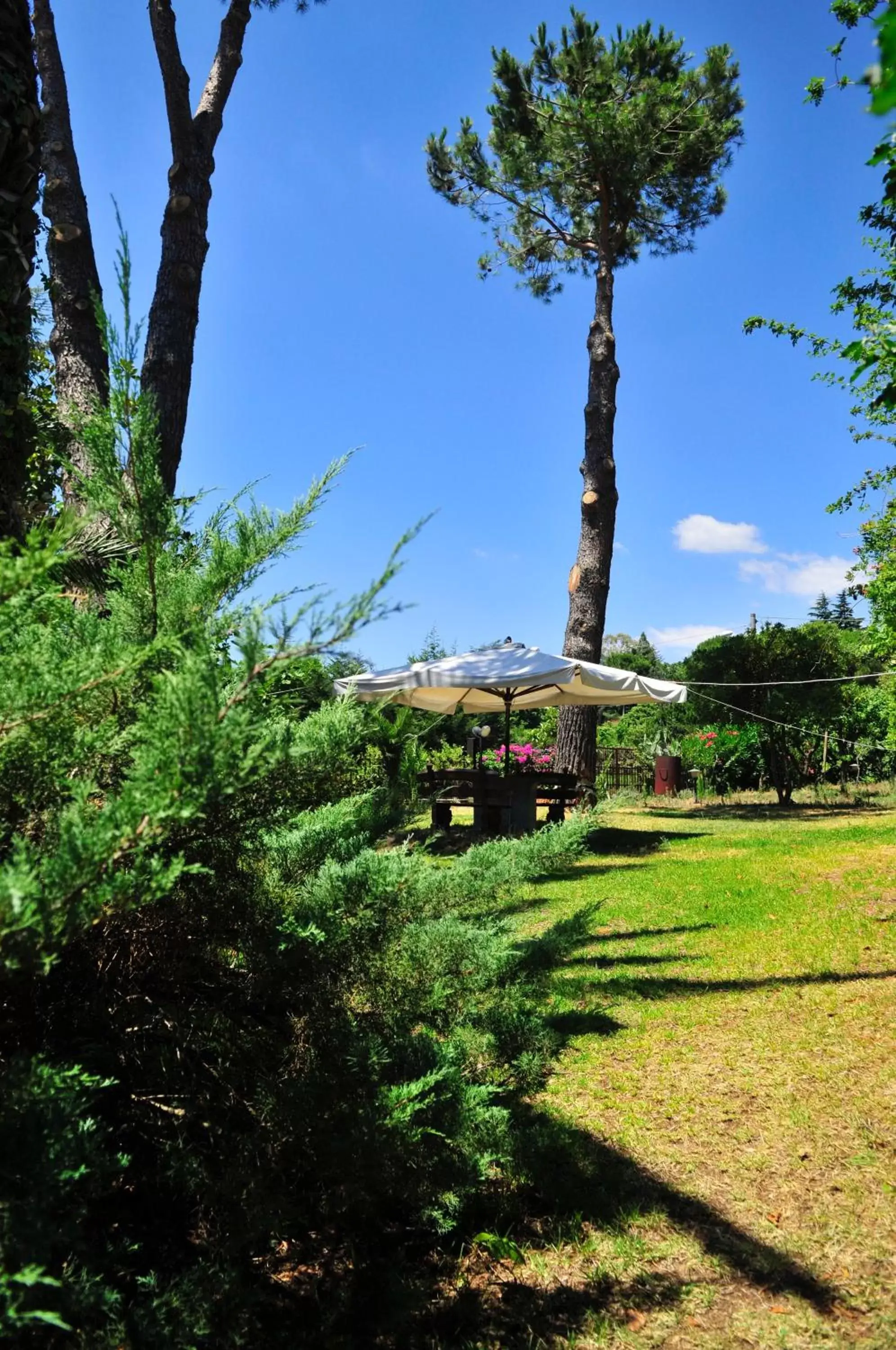 Garden in b&b Casa di Antonio_Etna Vacanze